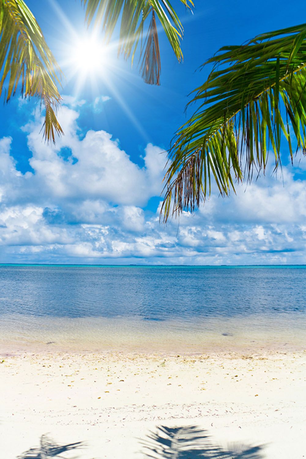 Summer holiday photography backdrop. Sky photo, Beach background, Beautiful photo of nature