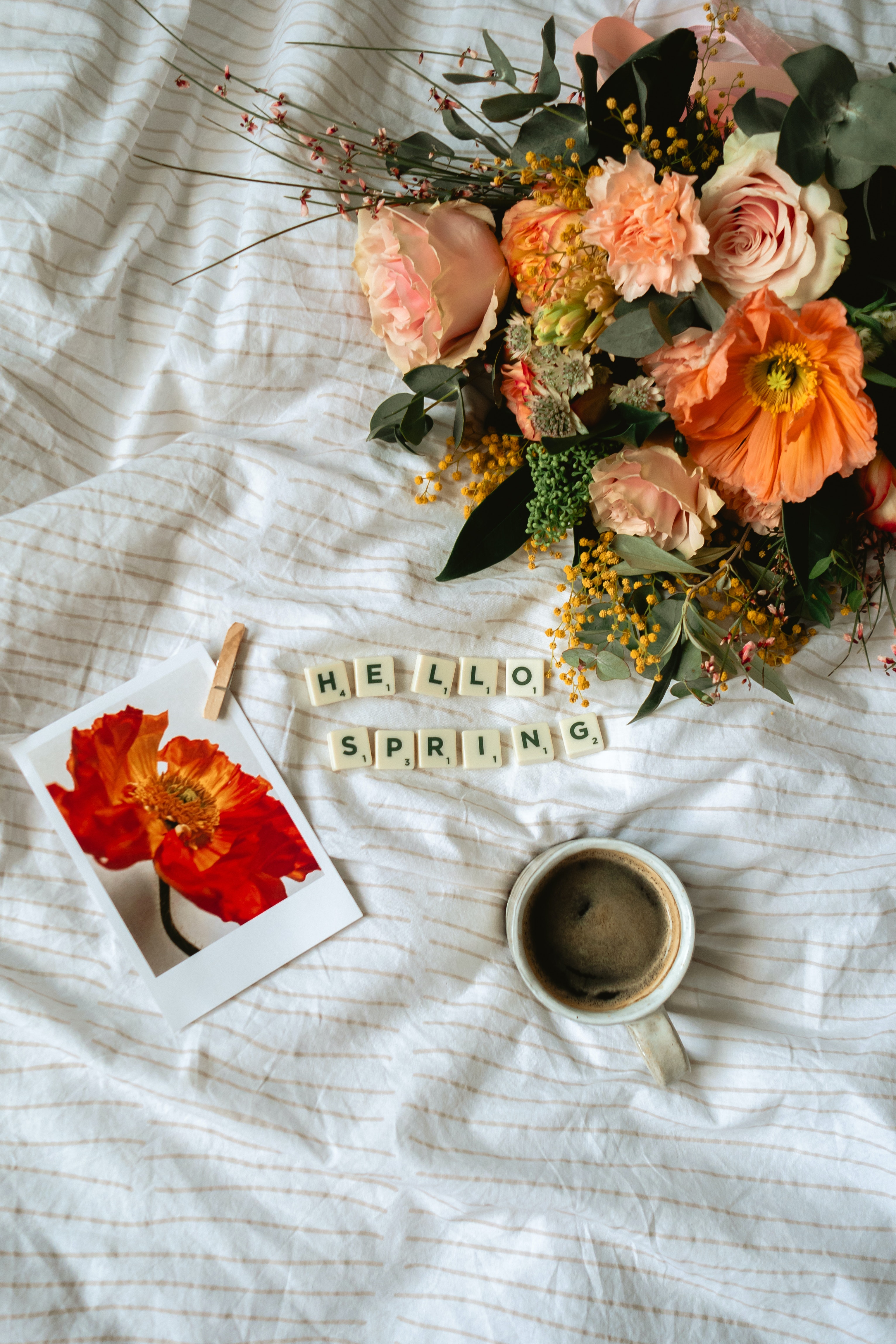 Hello Spring Photo, Download The BEST Free Hello Spring & HD Image