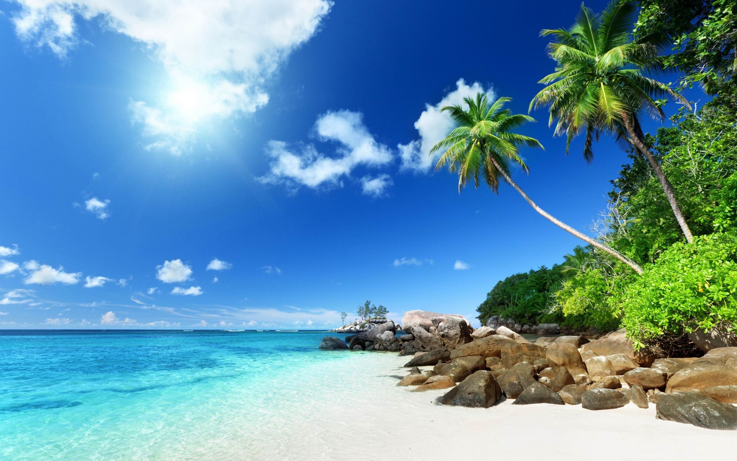 Paradise Beach Summer Photo HD Wallpaper