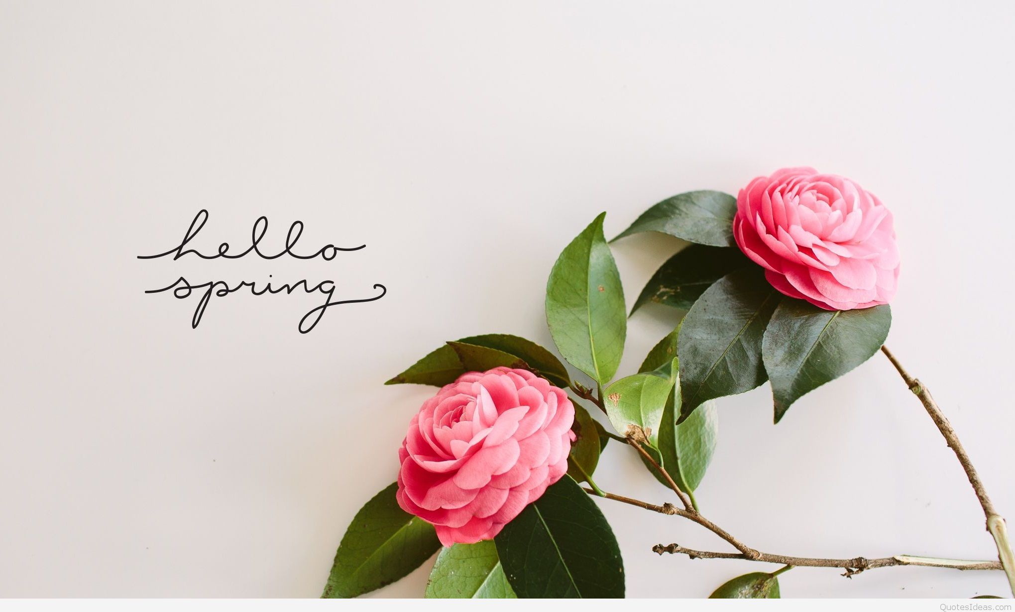 Hello Spring Wallpaper