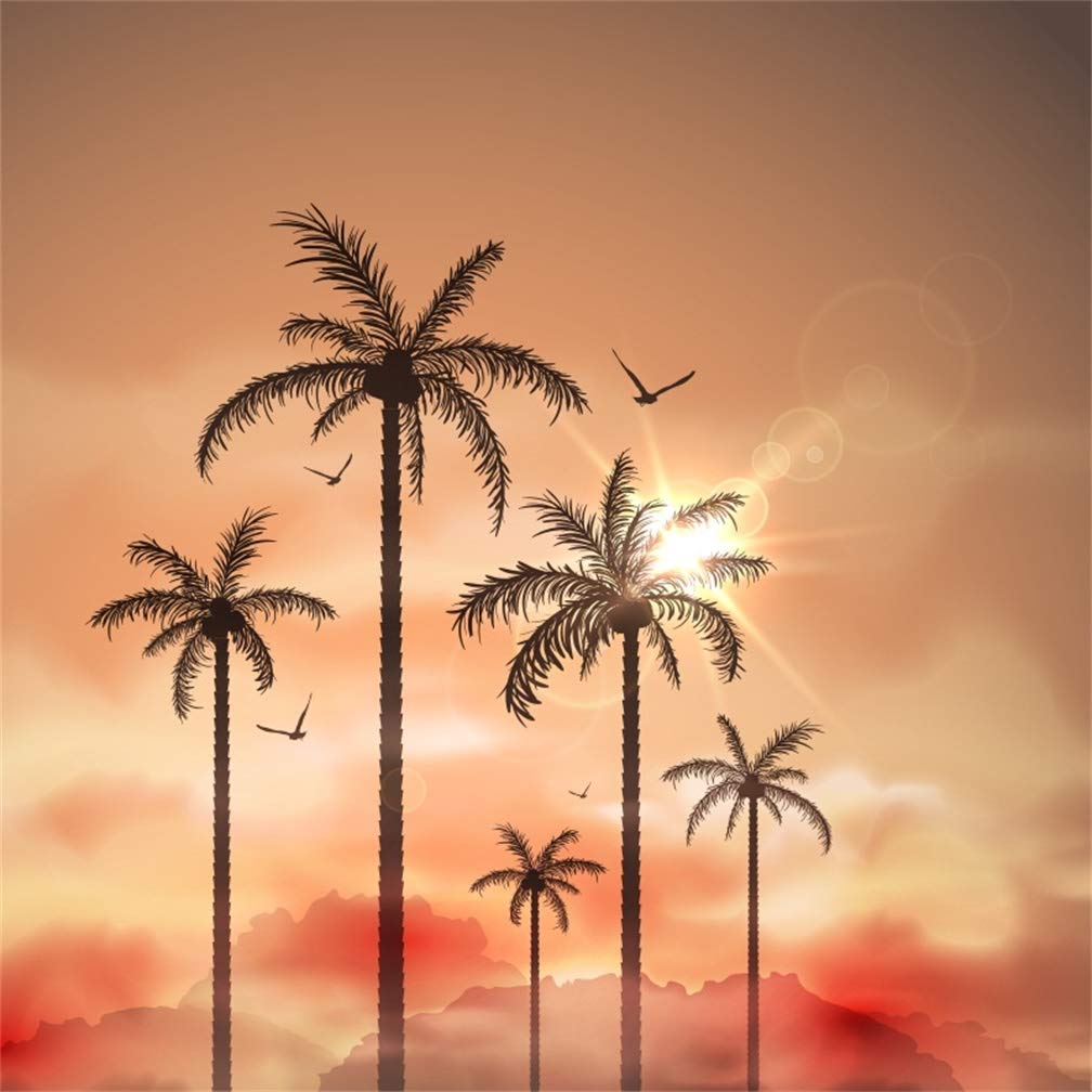 Amazon.com, Leyiyi 4x4ft Summer Coco Party Sunset Backdrop Tropical Palm Trees Banner Pardise Carnival Banquet Background Hawaiian Luau Fire Cloud Seabird Birthday Adults Portrait Studio Prop Vinyl Wallpaper