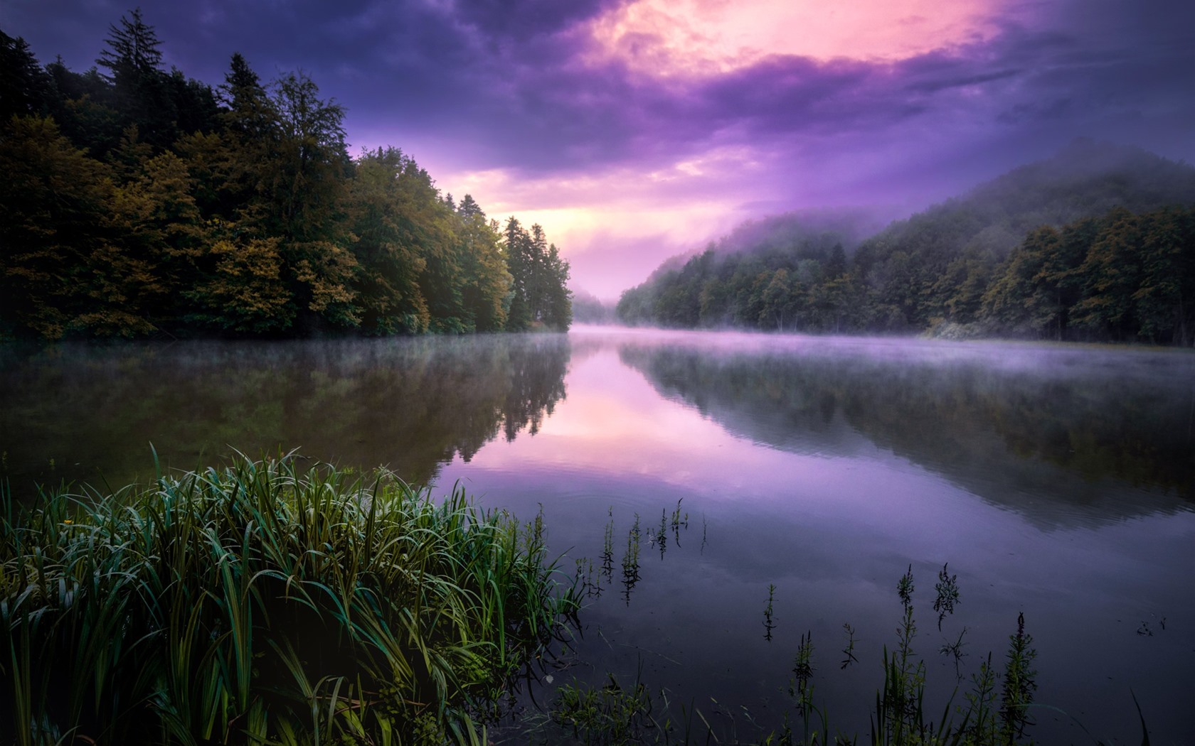 Wallpaper Summer, morning, fog, trees, grass 1920x1440 HD Picture, Image