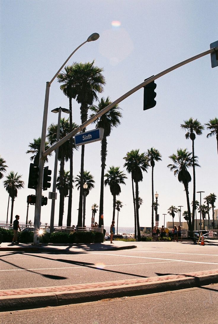 california venice. Beach tumblr, Travel photography, Palm tree iphone wallpaper