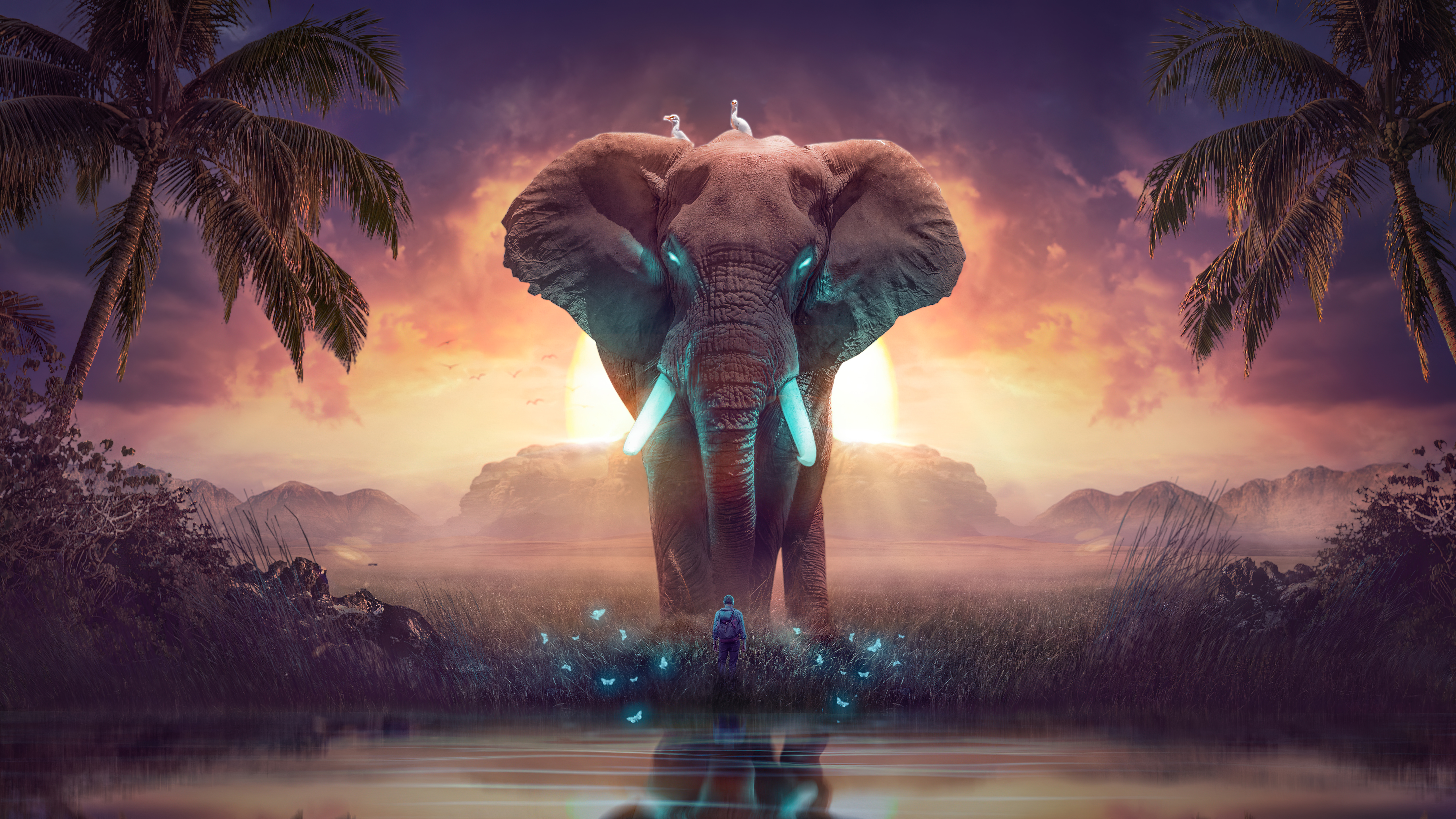 Elephant Artwork - 4k Wallpapers - 40.000+ ipad wallpapers 4k - 4k wallpaper  Pc