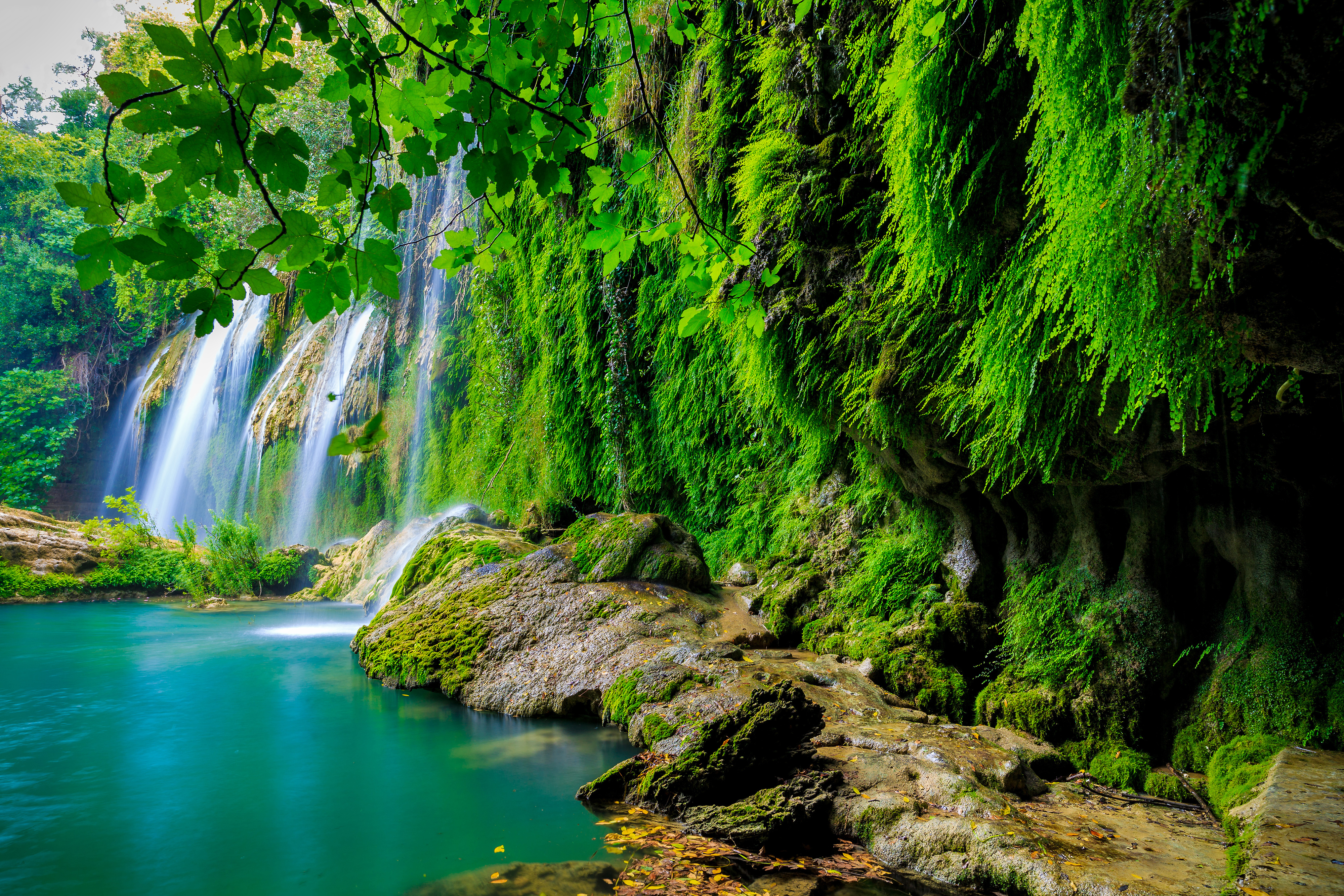 Tropical forest, 4K, Waterfall Gallery HD Wallpaper