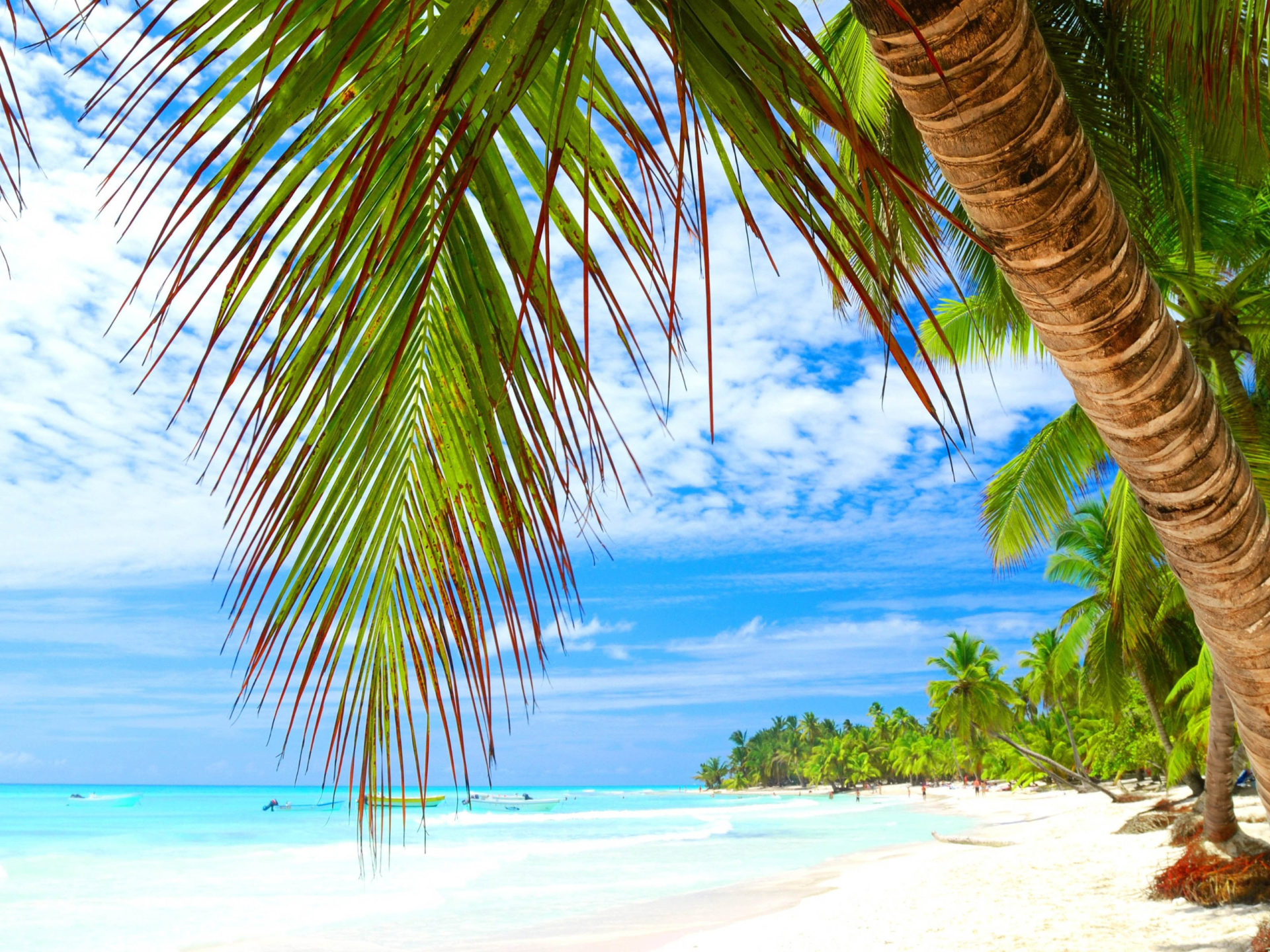 Tropical Island Vacation Sea Water Sky Sun Palm Beach Sand 4k Wallpaper HD Image For Desktop And Mobile 3840x2400, Wallpaper13.com