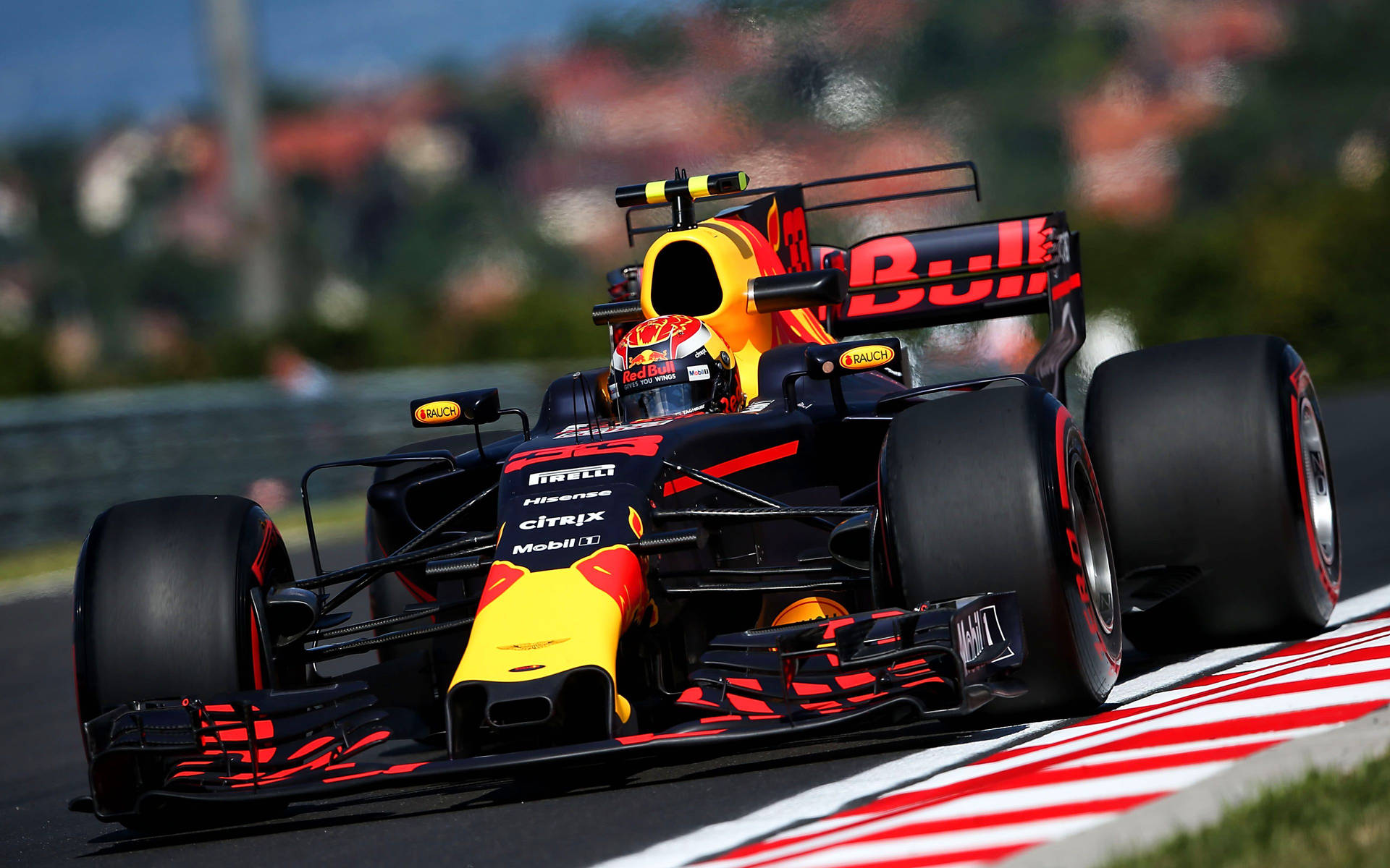 Download Max Verstappen Bahrain Grand