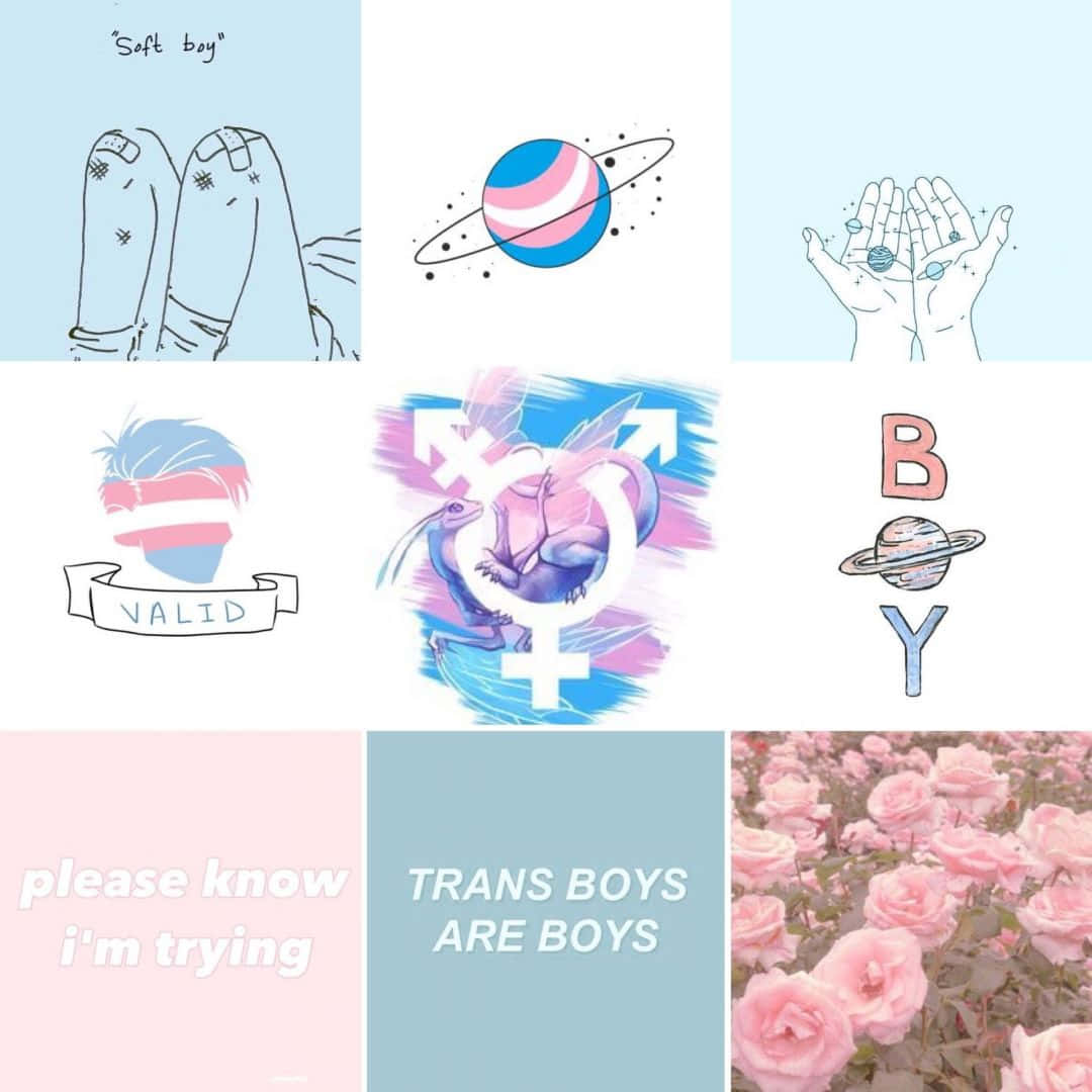 Download Blue And Pink Trans Aesthetic