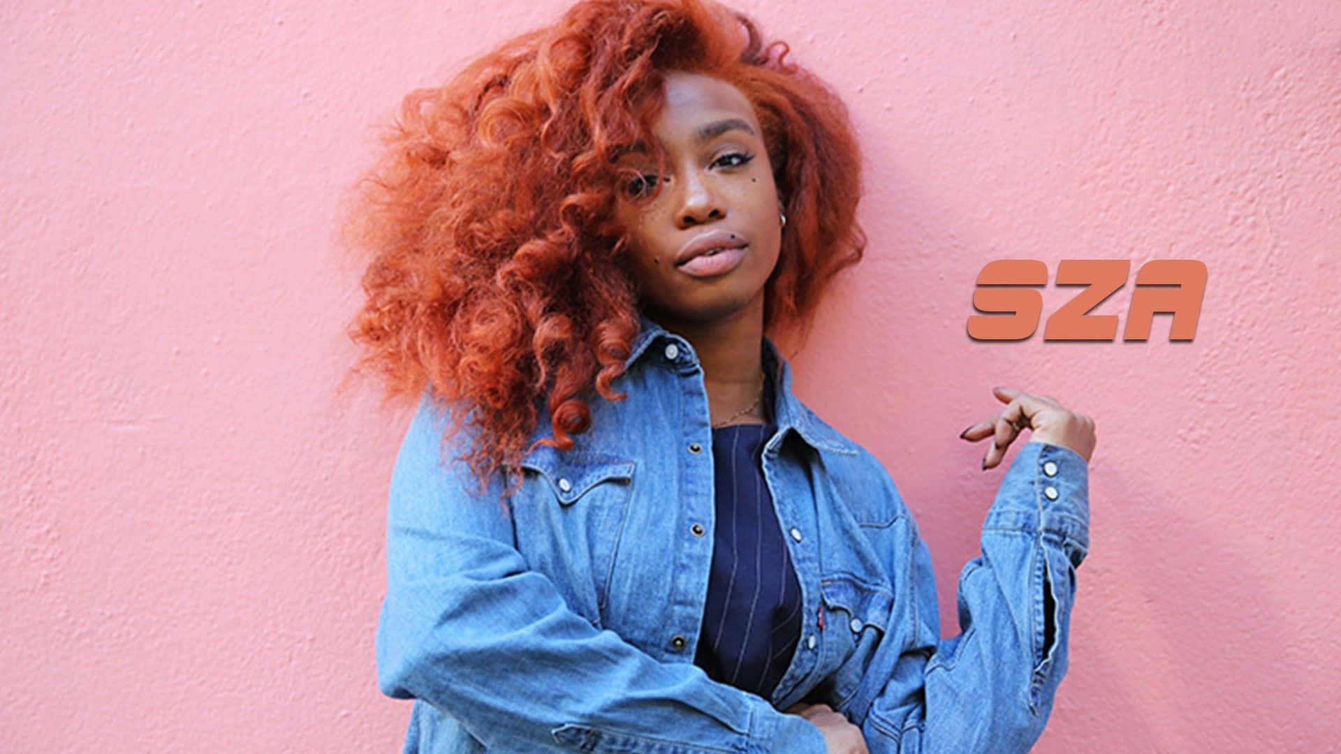 Download SZA Pink Aesthetic Red Hair Wallpaper
