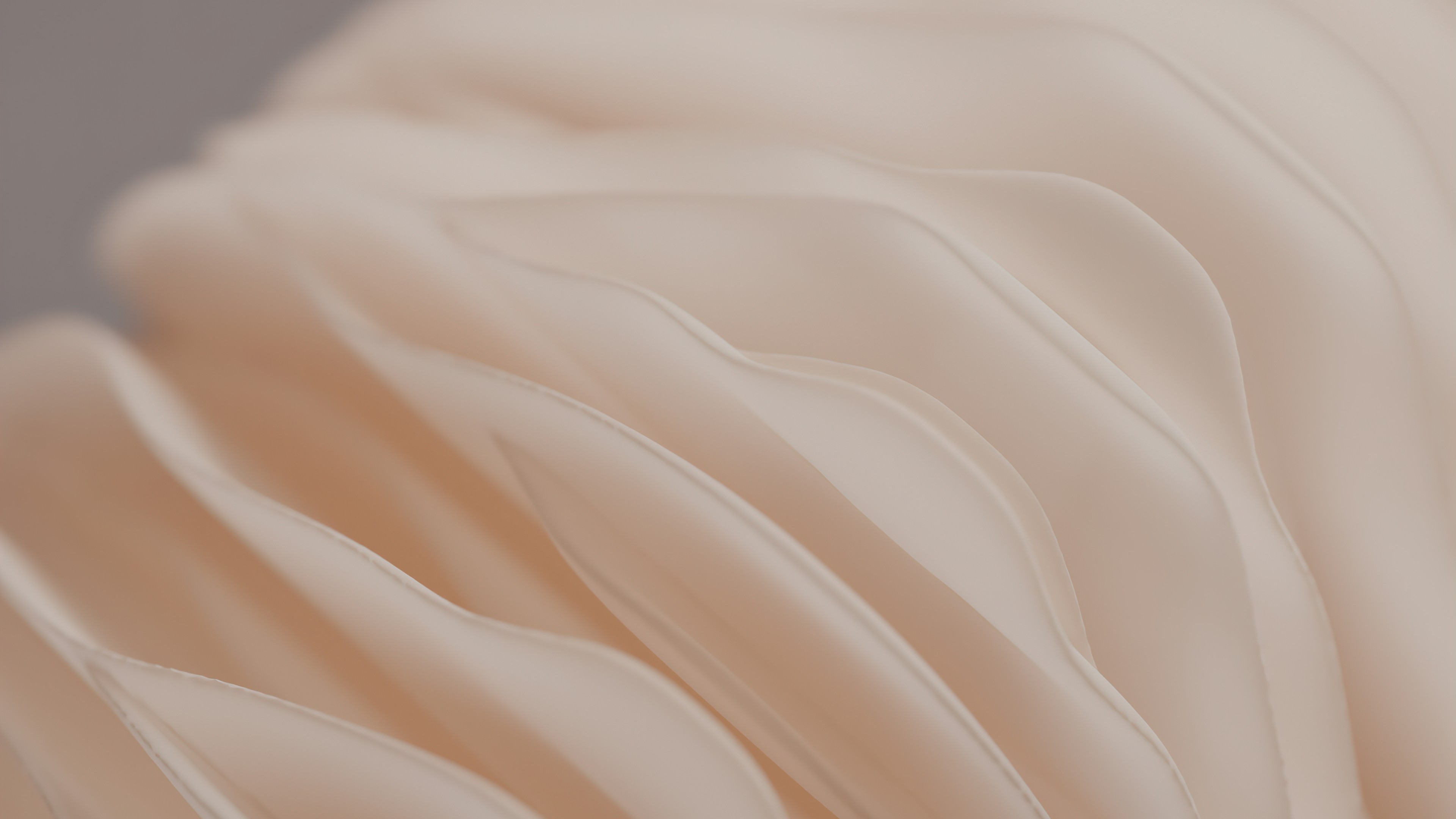 Wallpaper Windows 11, Microsoft, 4K, OS