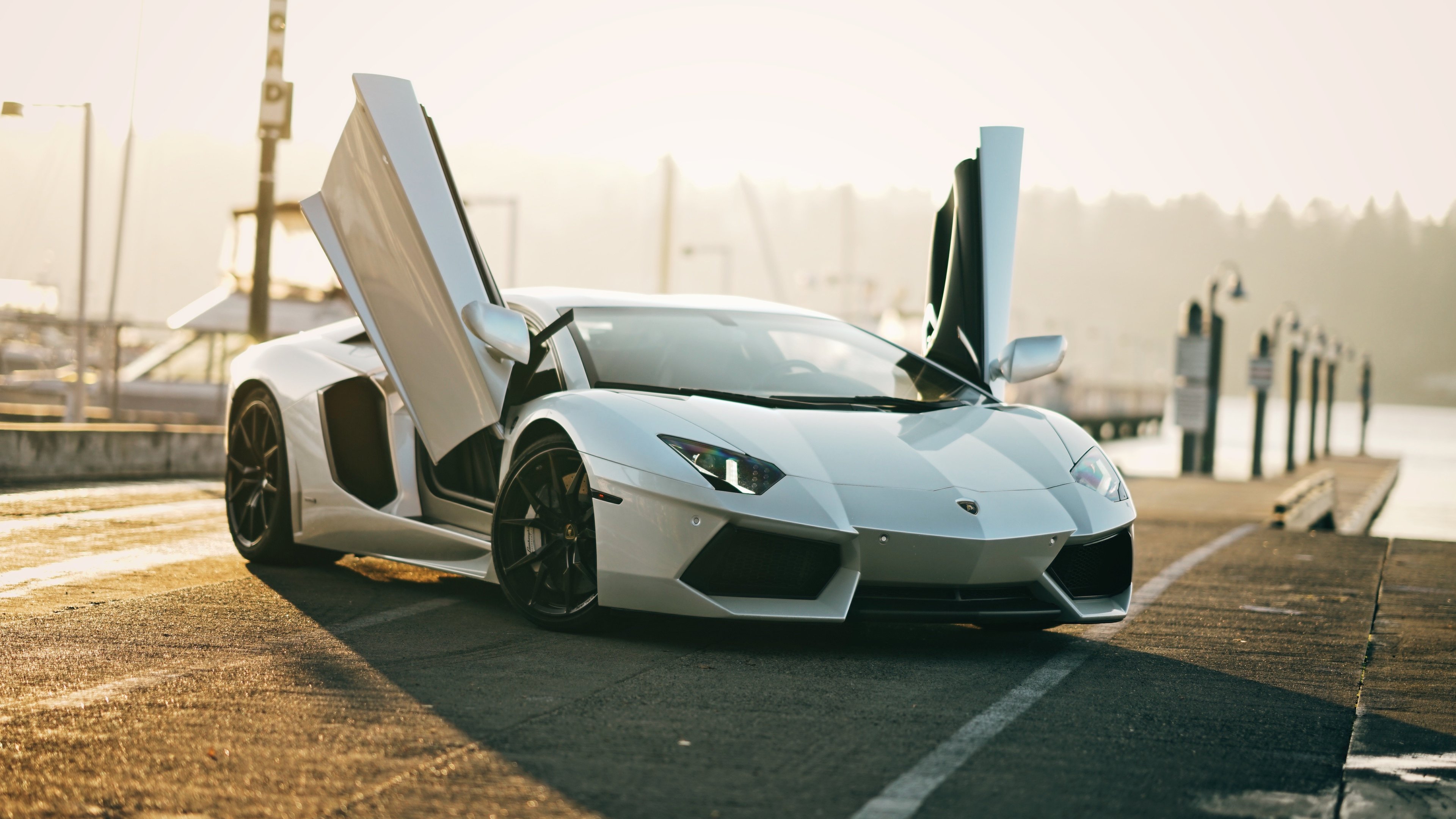 4k White Lamborghini Aventador Wallpaper