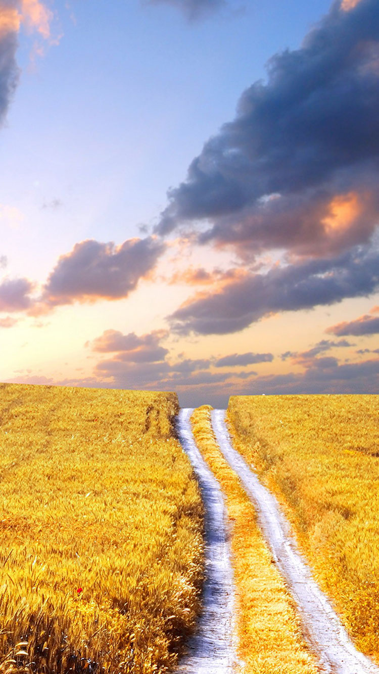 Summer iPhone Wallpaper