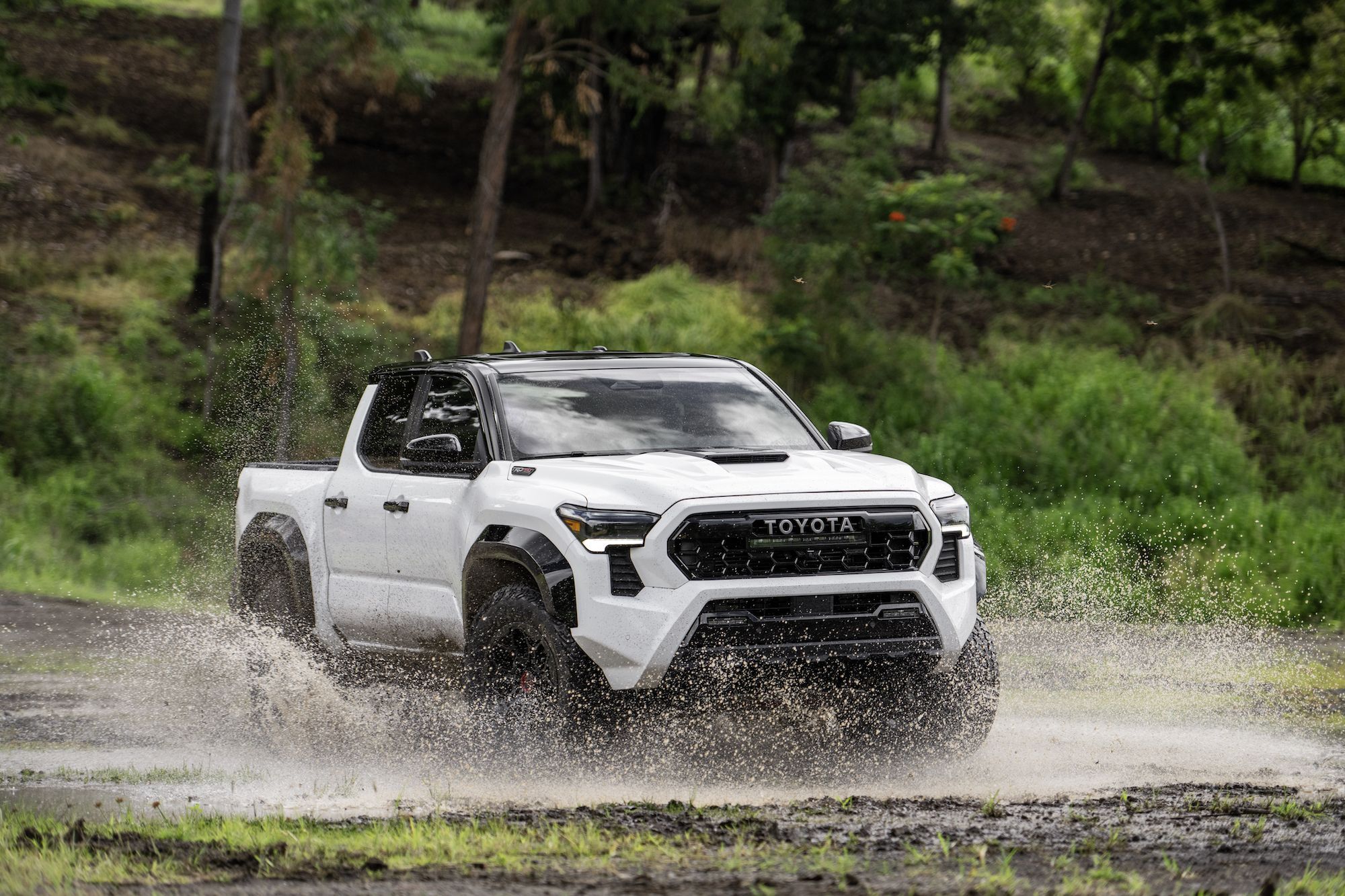 2024 Toyota Tacoma TRD Pro Image