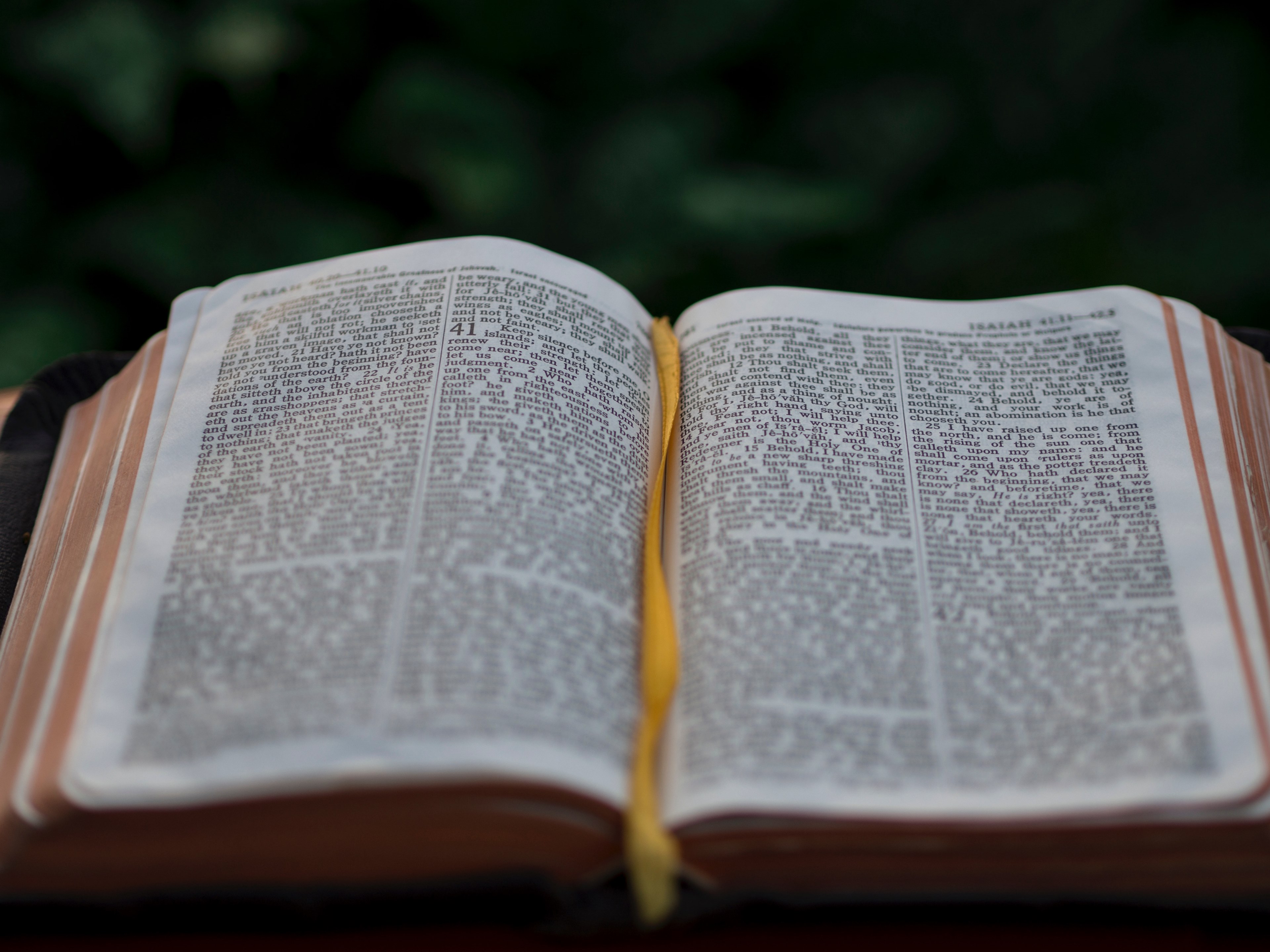Wallpaper / an open bible outdoors, religious text 4k wallpaper free download