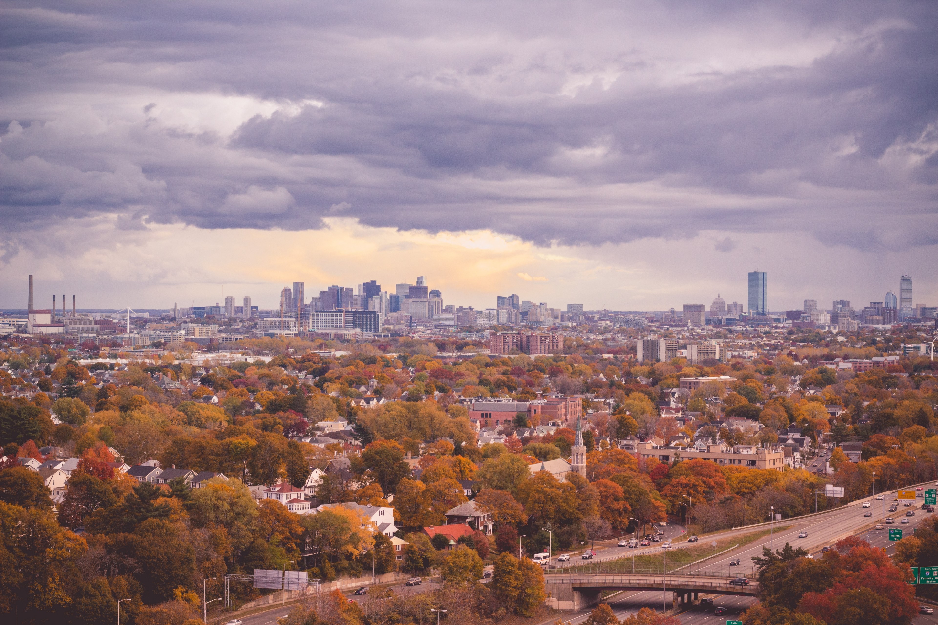boston skyline massachusett tree