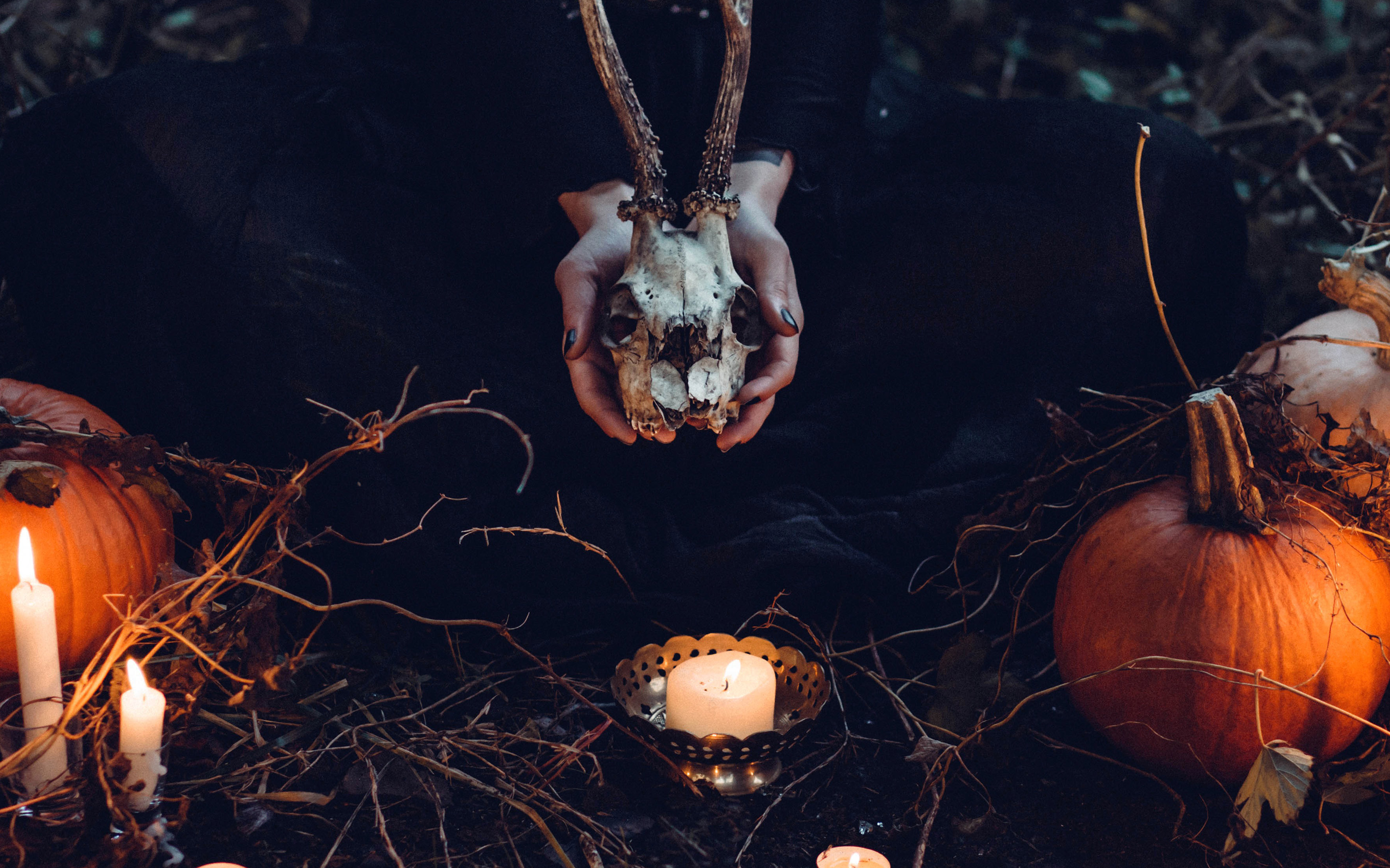 wallpaper for desktop, laptop. halloween pumpkin skull dark nature