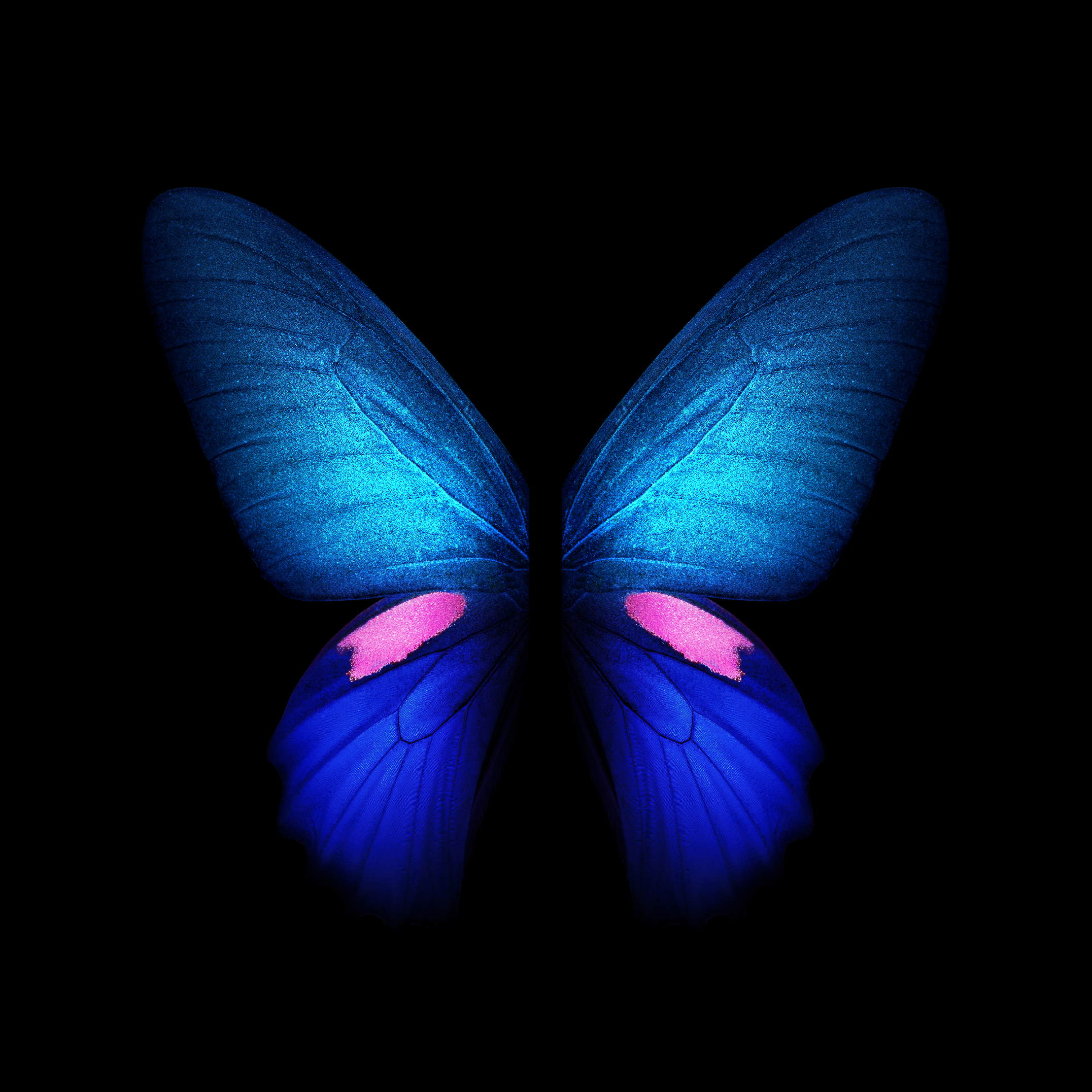 Samsung Galaxy Fold Wallpaper