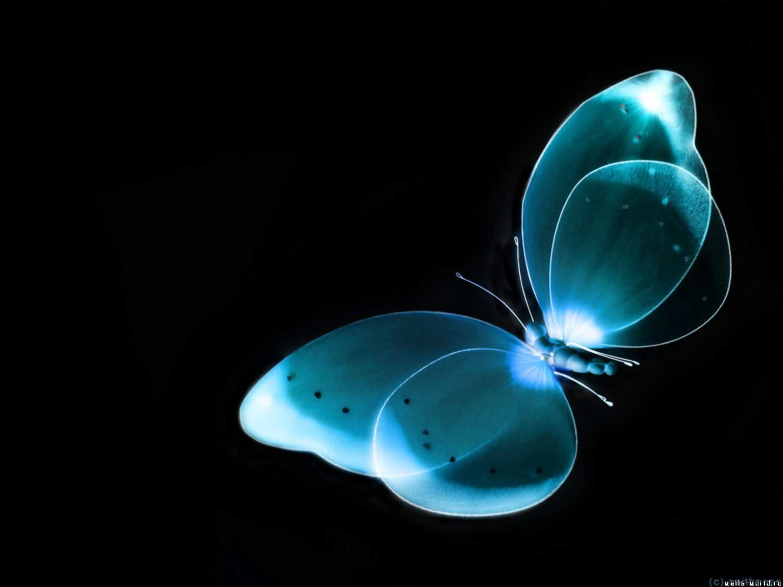 Black and Blue HD Wallpaper
