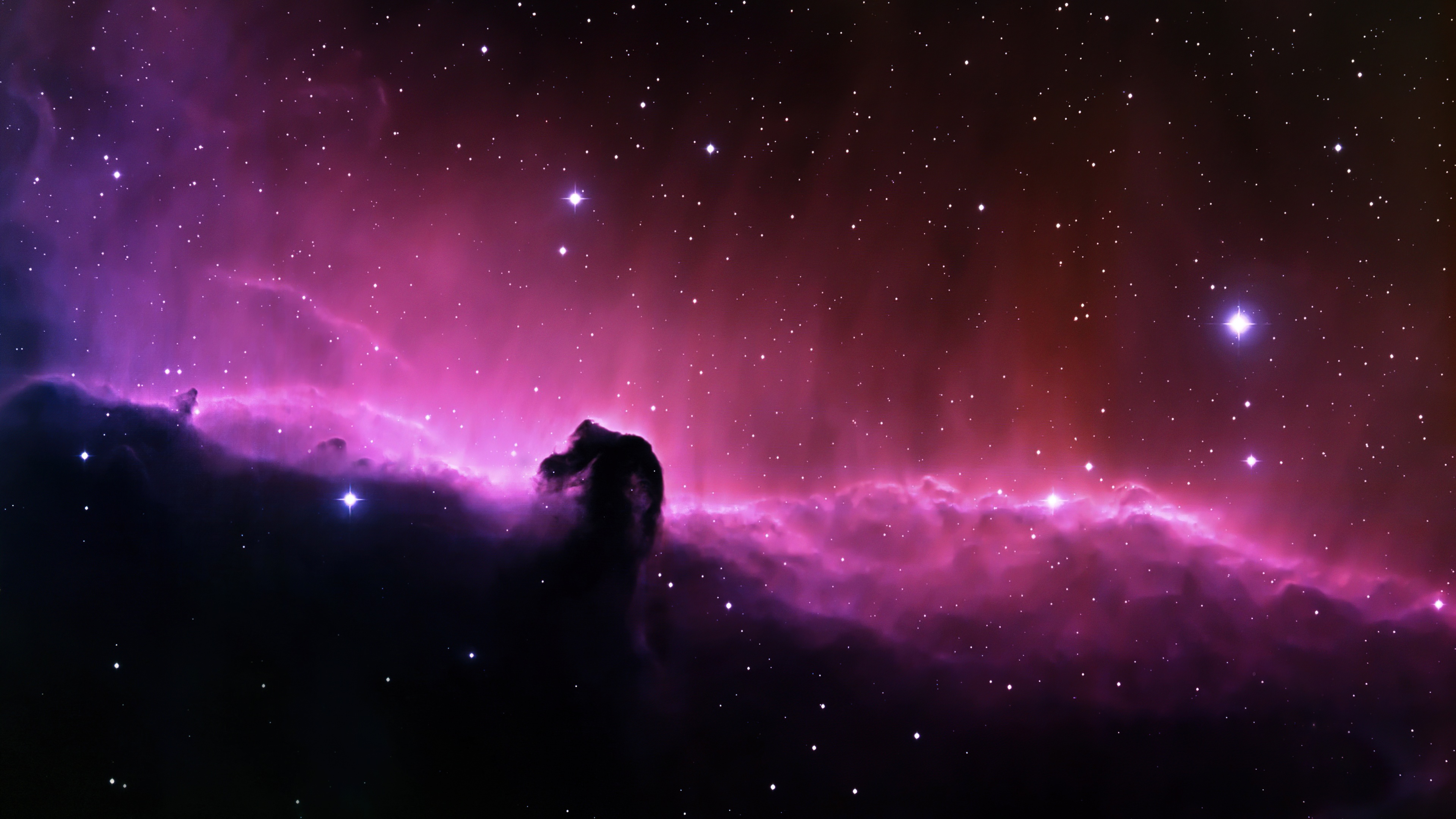 Horsehead Nebula Wallpaper 4K