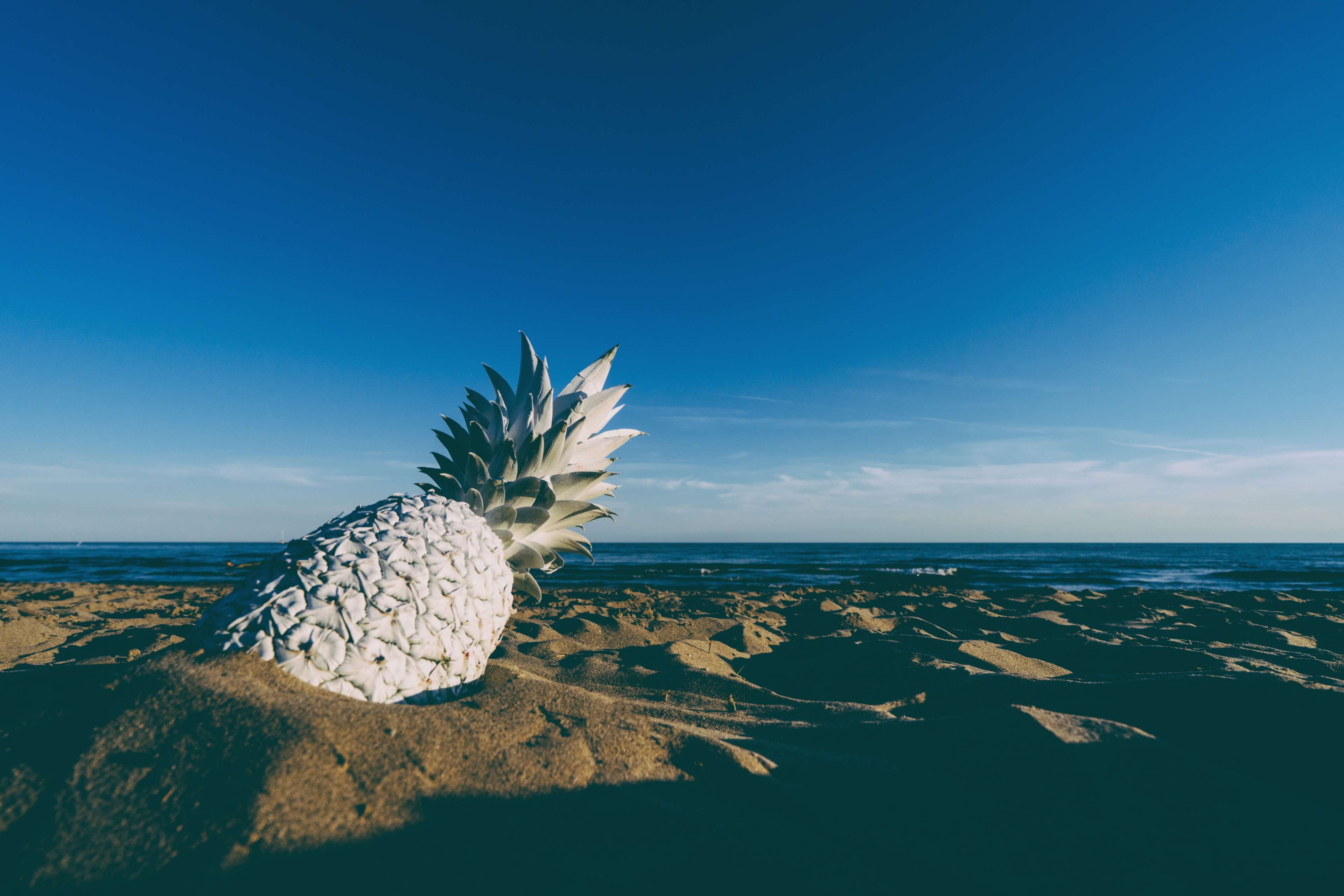 beach, beachlife, fruit, horizon, painted, pineapple, sand, shadows, summer, summer vibes, summertime, tropical, tropical fruit, water, white 4k wallpaper