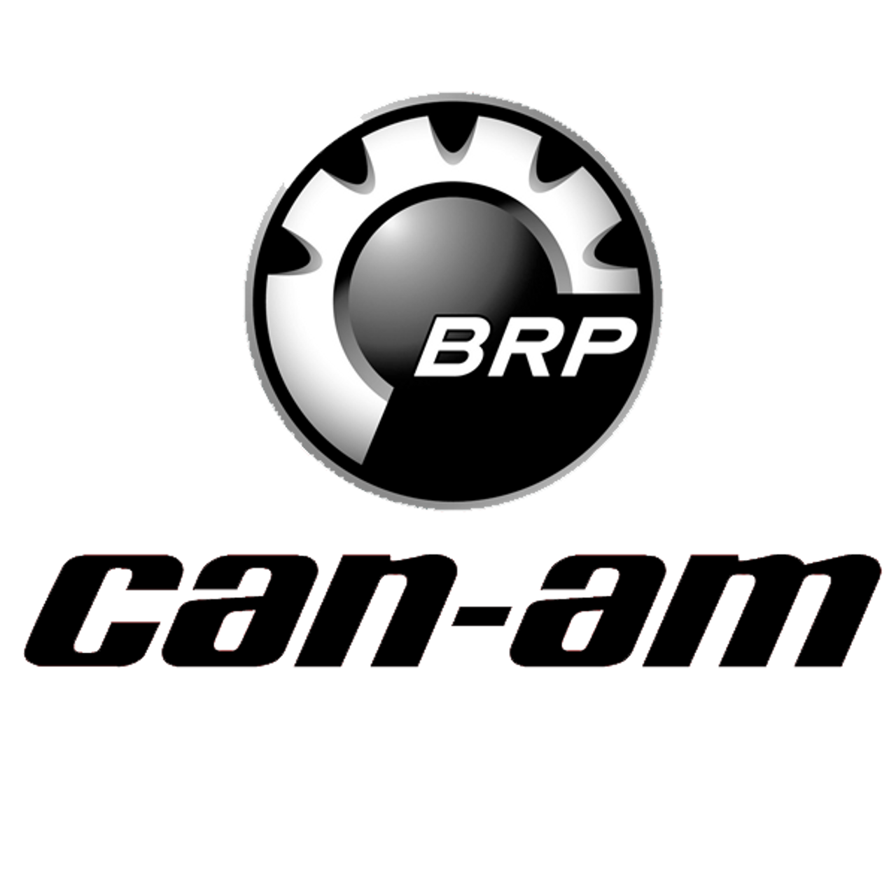 Can Am® Ryker MTX® Audio System BRP