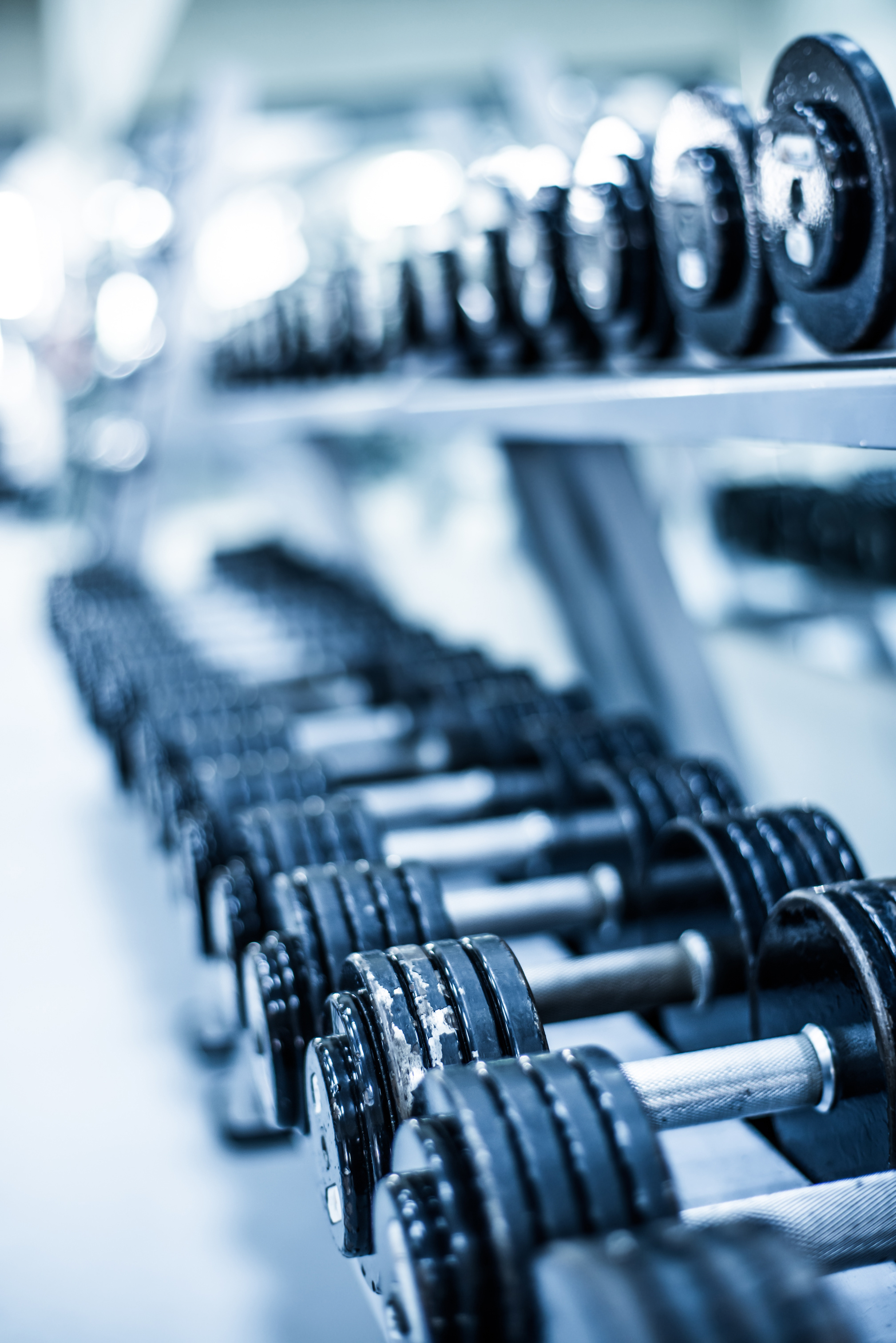 Gym Rat Wallpapers Wallpaper Cave