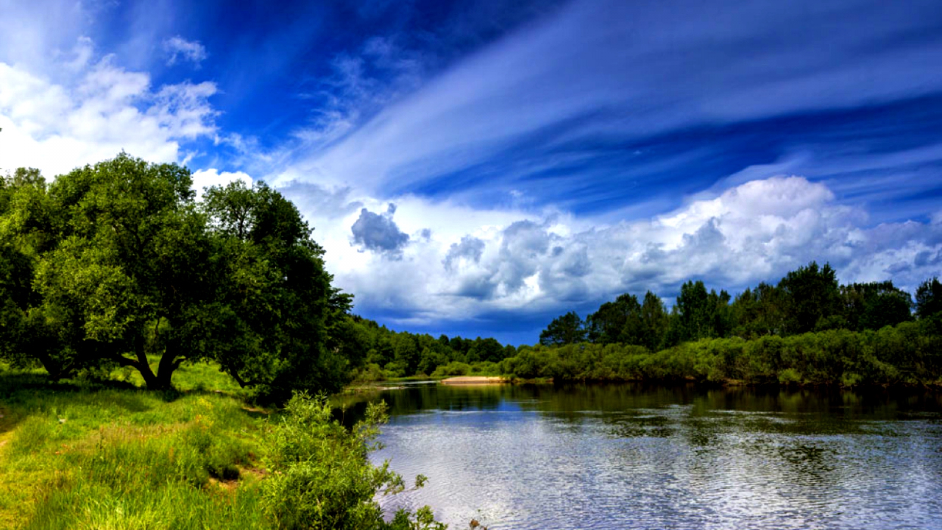 Download Tree Nature Summer River HD Wallpaper