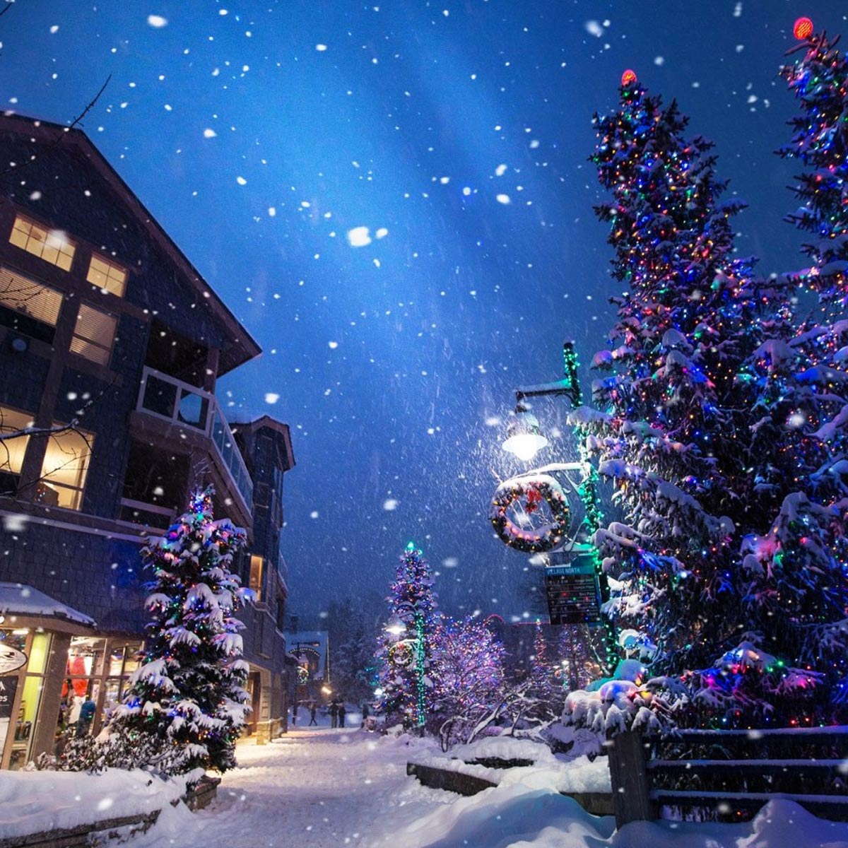 Crashing Christmas (TV Movie 2024)