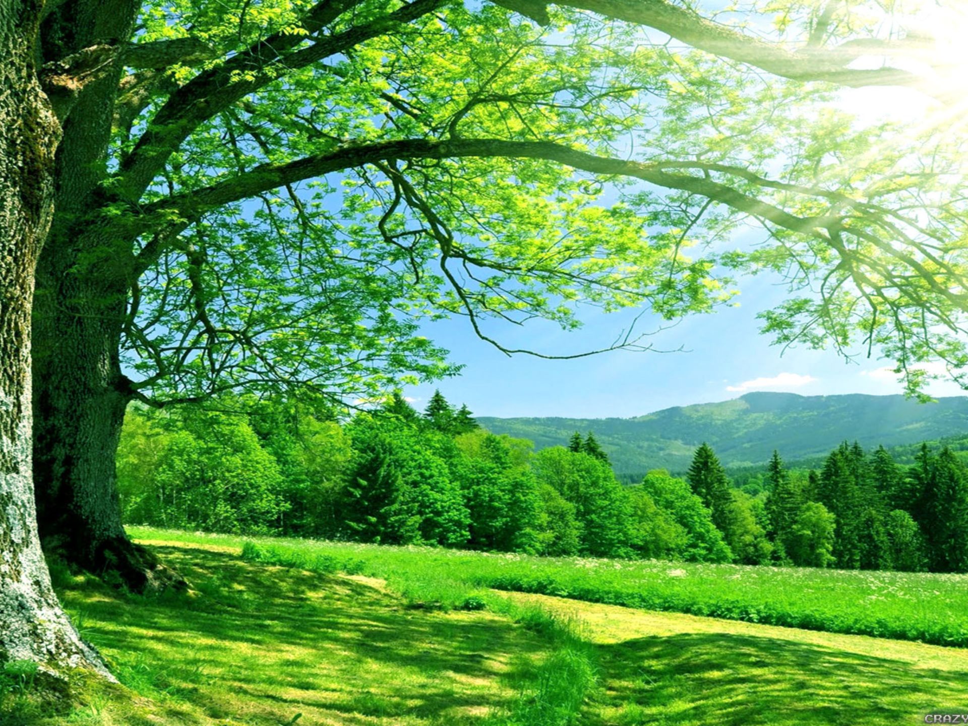 Nature Hd Wallpaper For Desktop, Wallpaper13.com