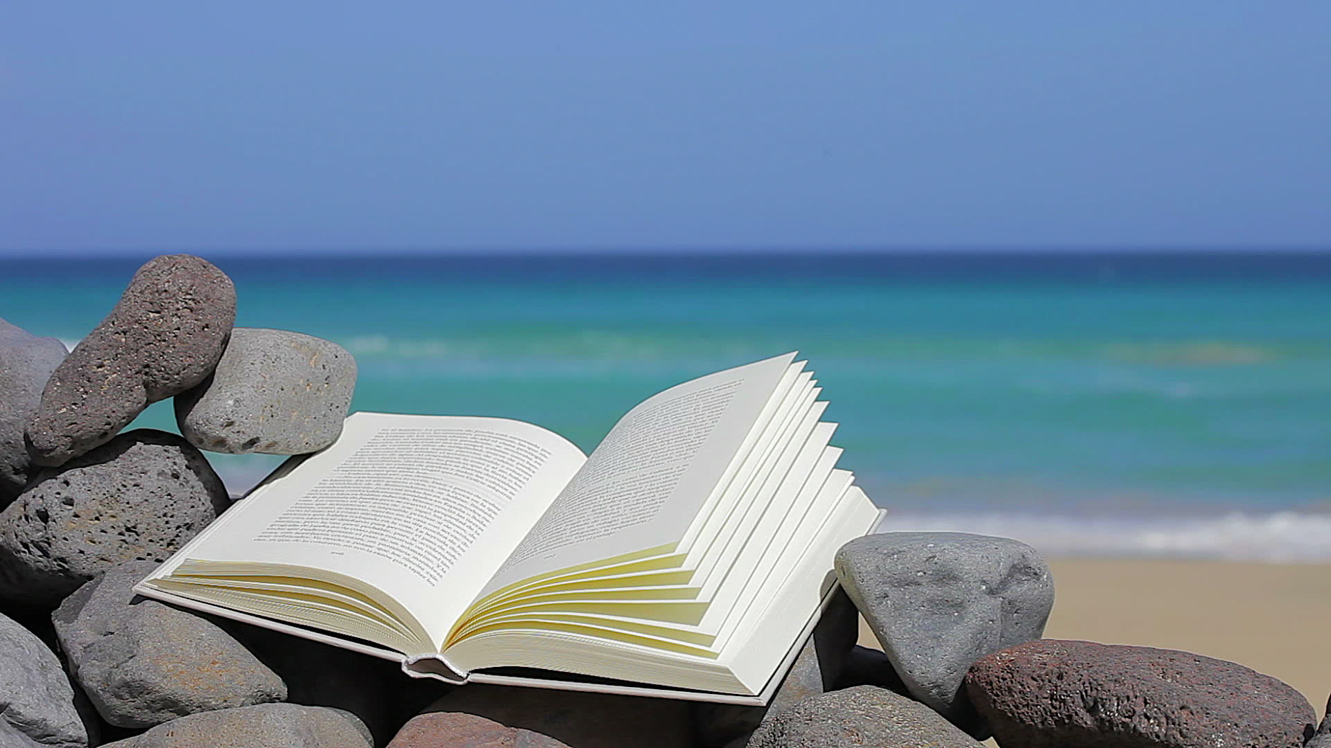 Here's to Summer! Reading List