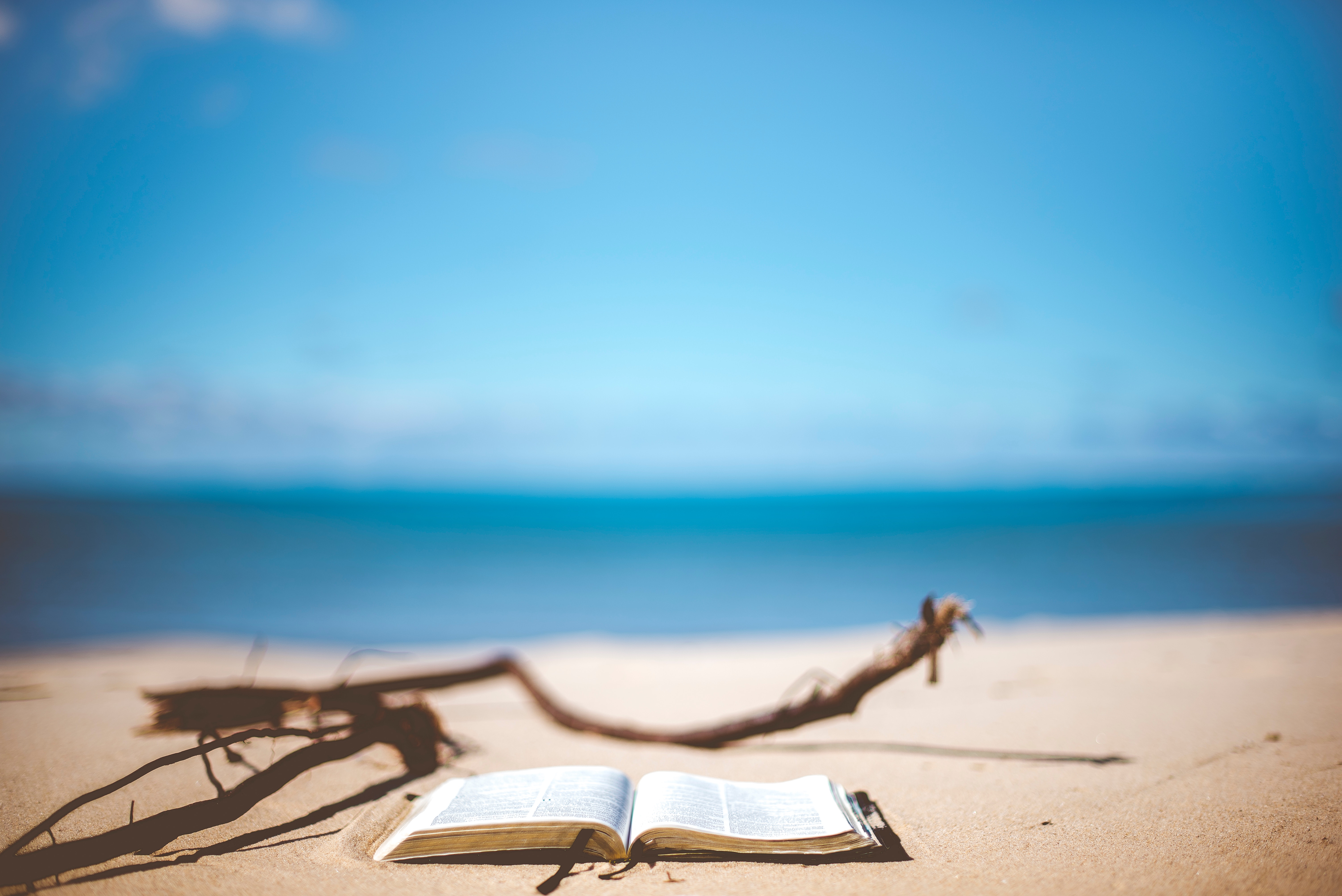book, beach, reading, book, blur