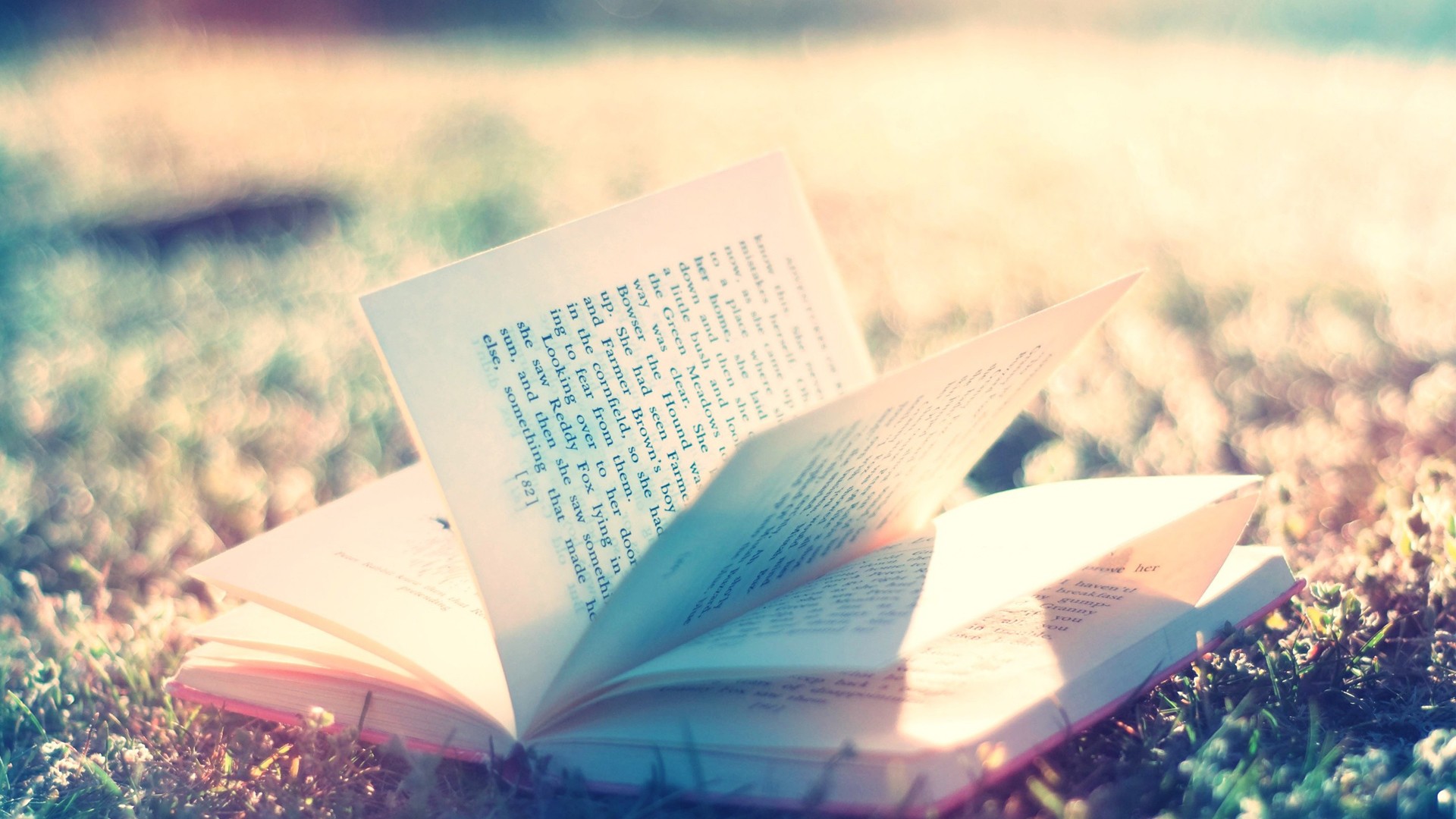 Pretty Summer Background