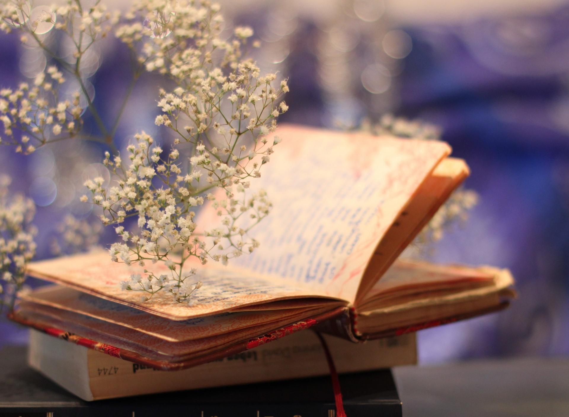 Summer flowers flying from a book