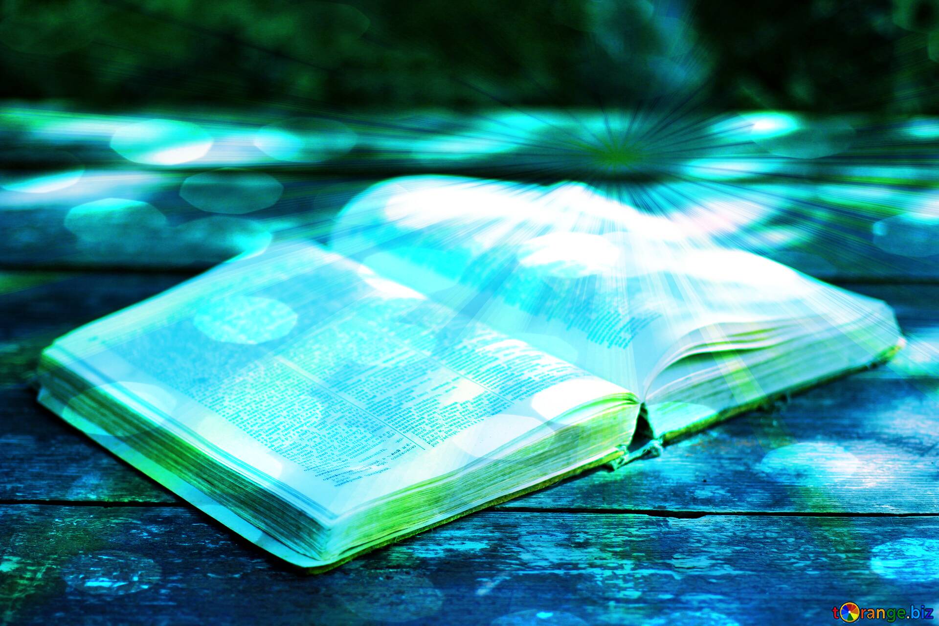 Open book summer reading Download free