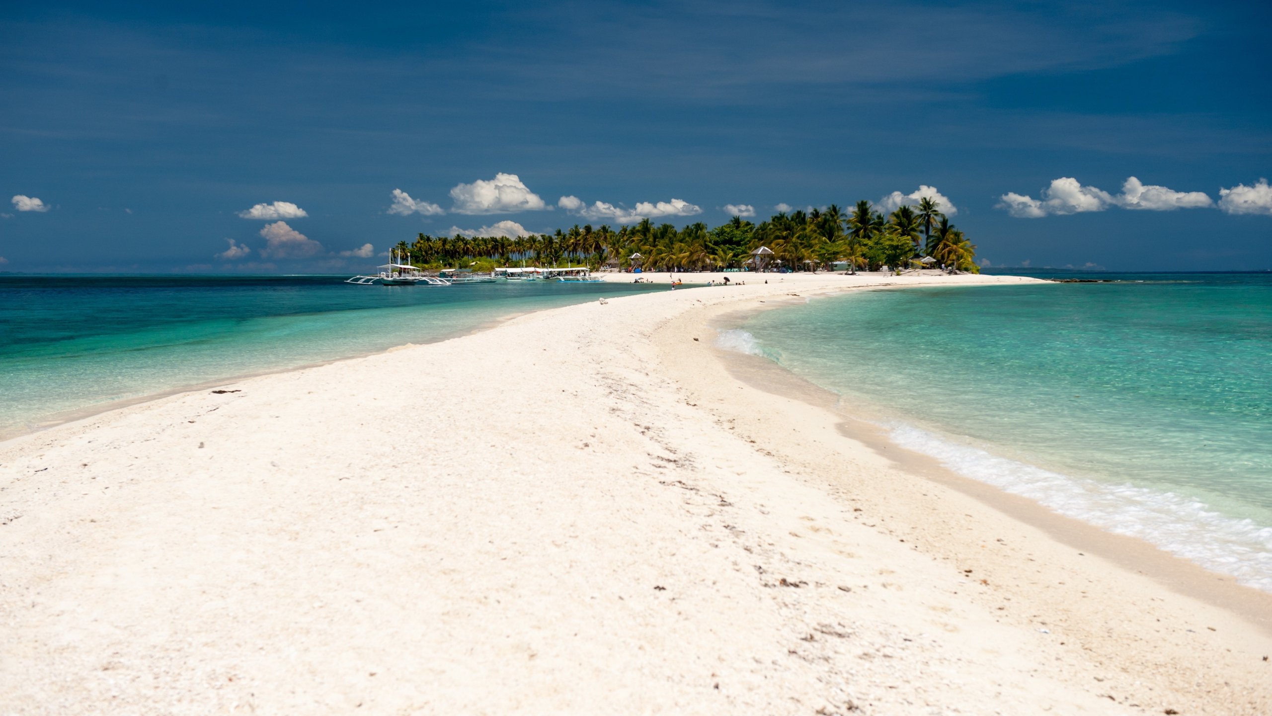 Download wallpaper 2560x1440 summer