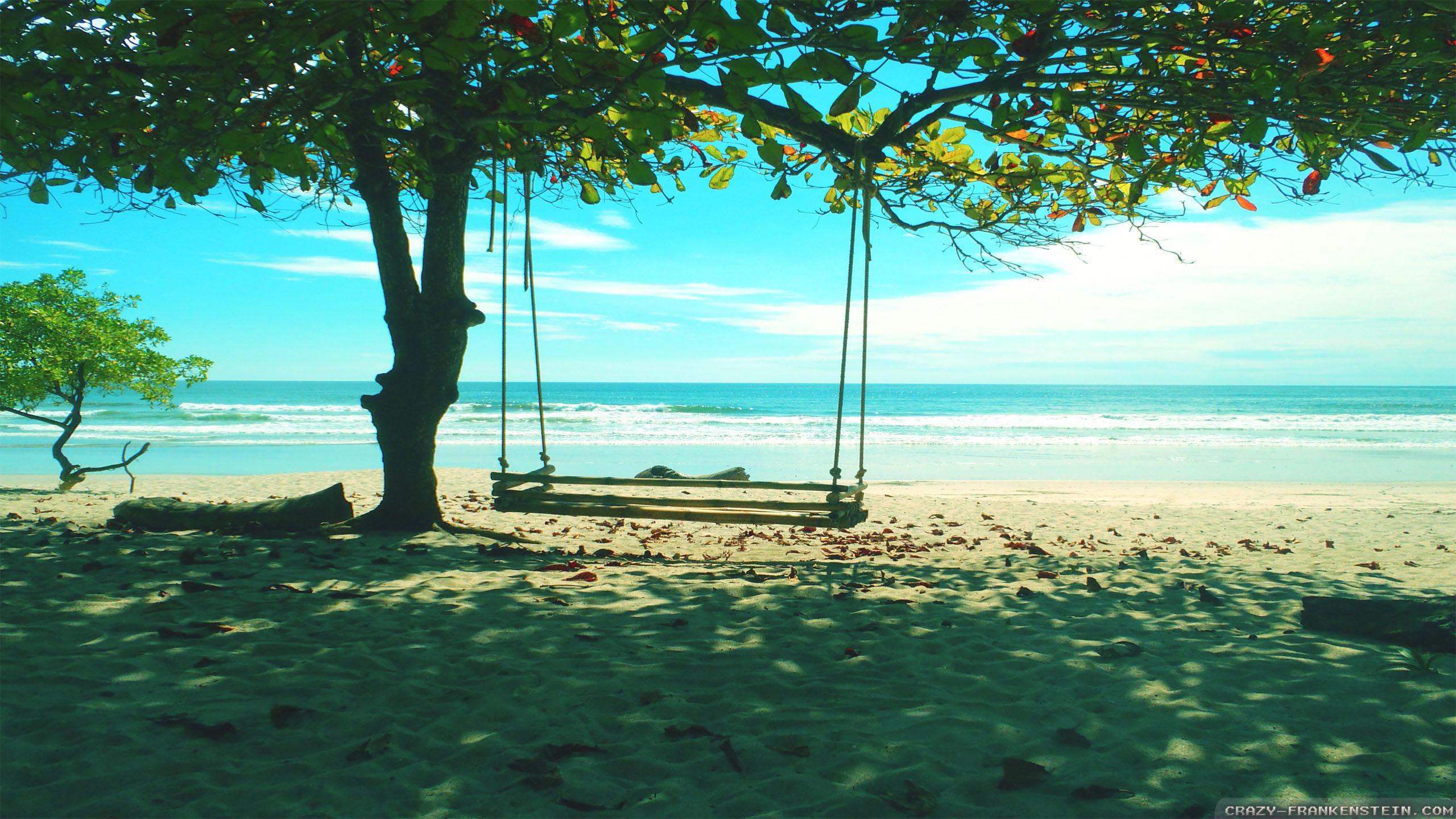 Wallpaper For Summer Season