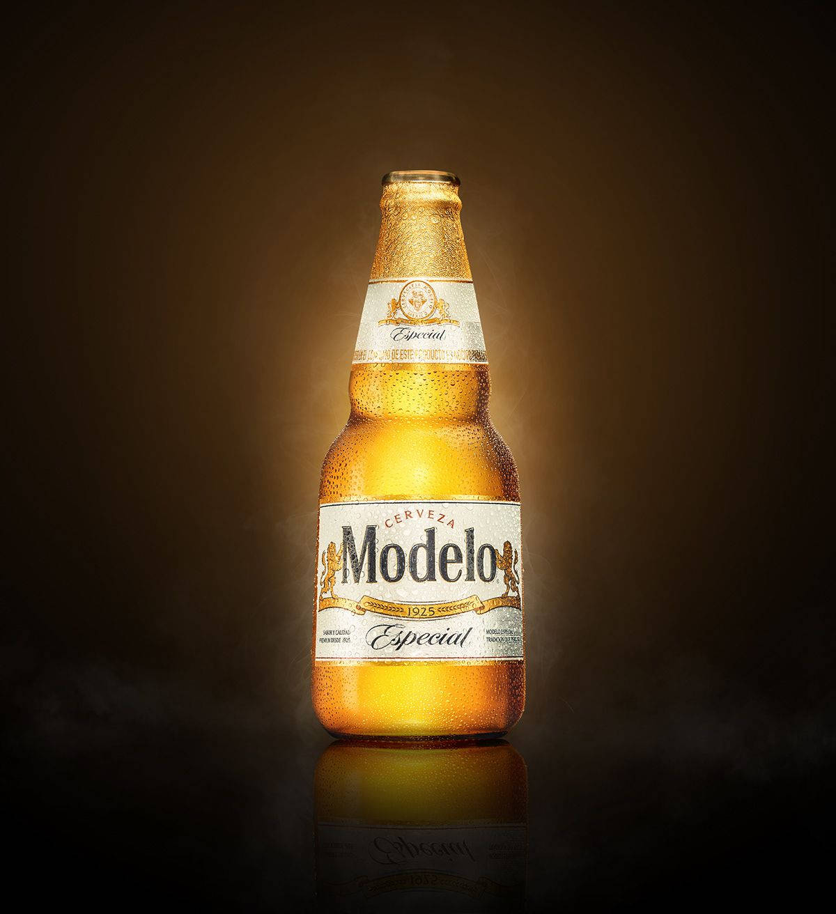 Download Premium Beer Modelo Especial