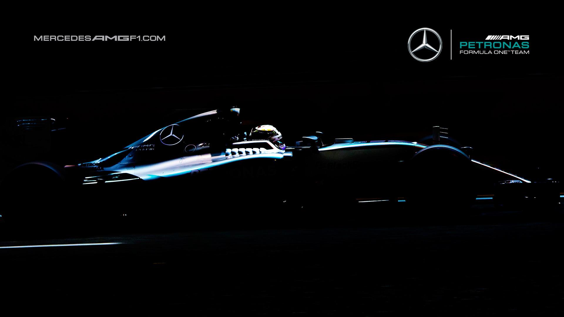 Mercedes AMG PETRONAS F1 Team