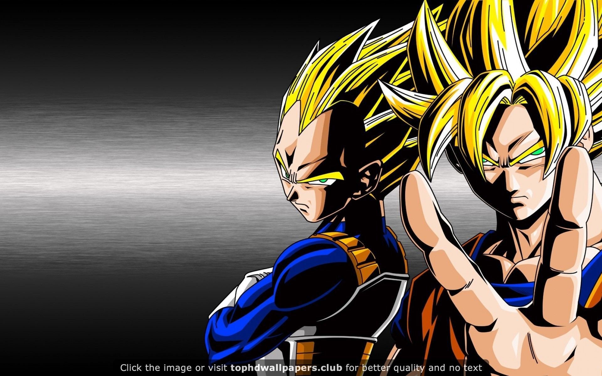 Dragon Ball Z Goku And Vegeta 4K or HD