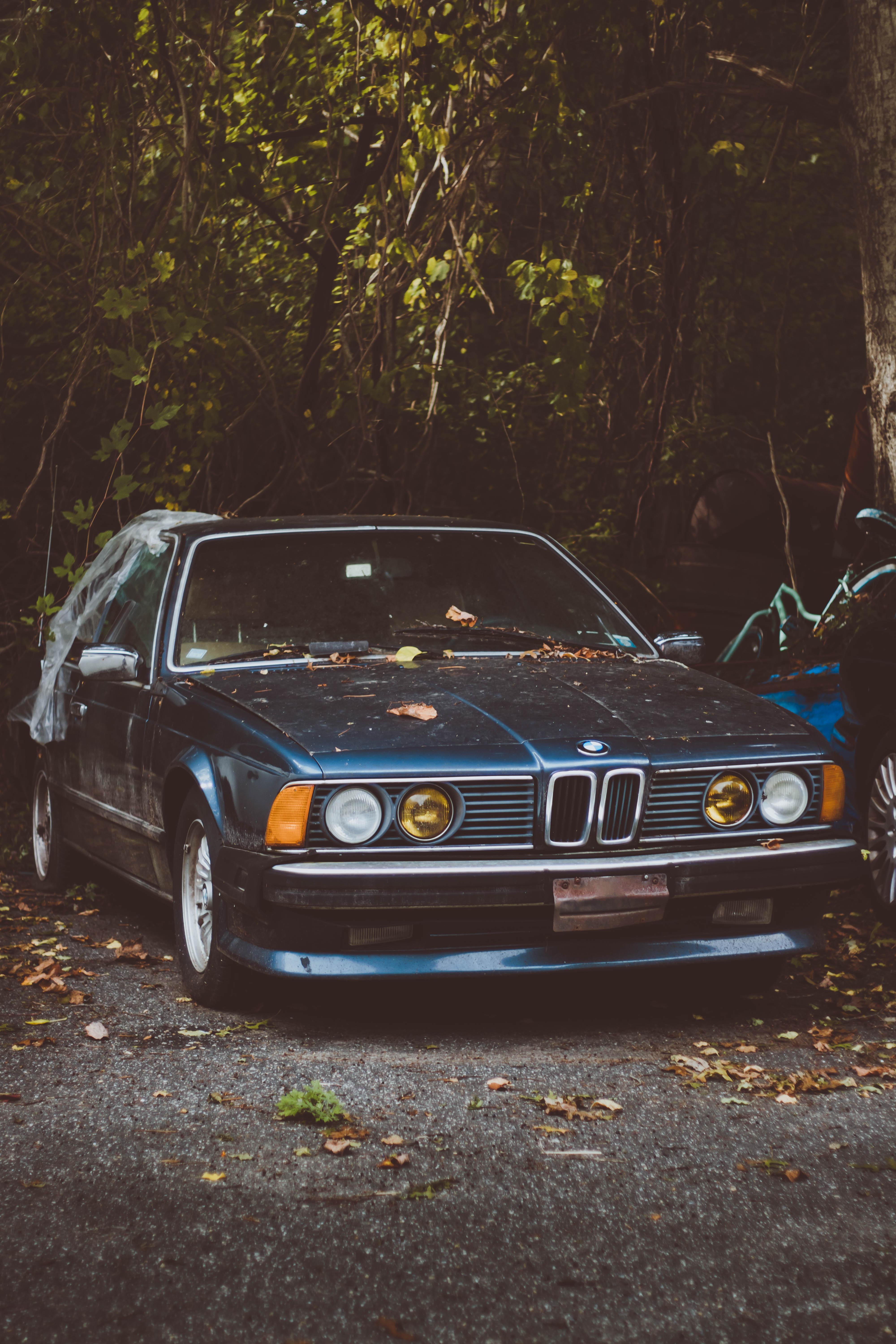 BMW behind a garage in the Hamptons