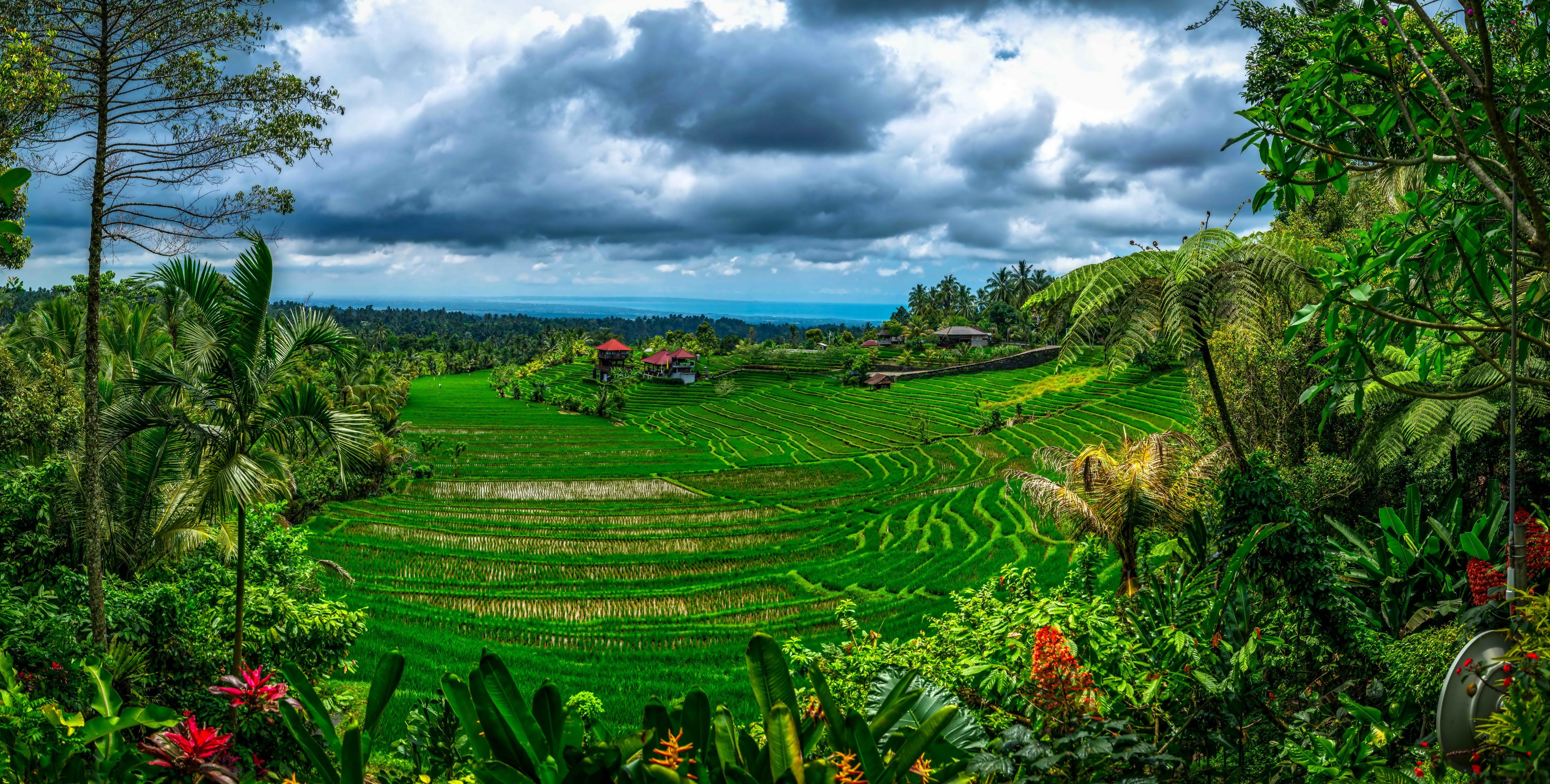 4K, Bali, Indonesia, Tropics, Fields, Clouds Gallery HD Wallpaper