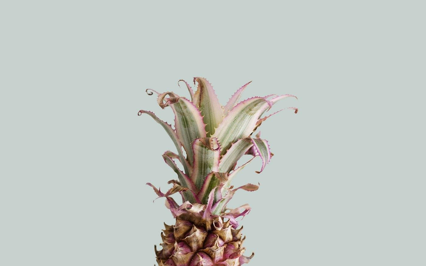 Download Summer Aesthetic Pink