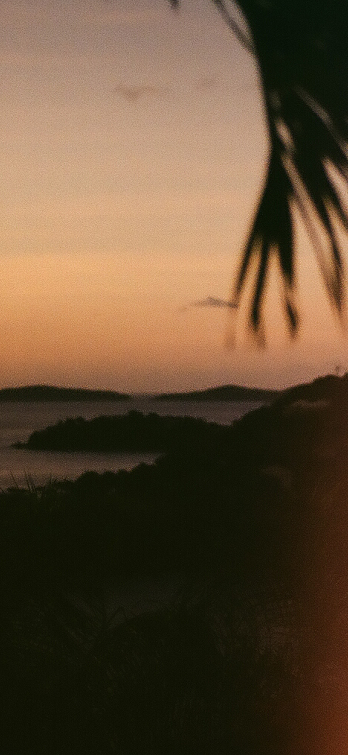 Film iPhone Wallpaper to Download