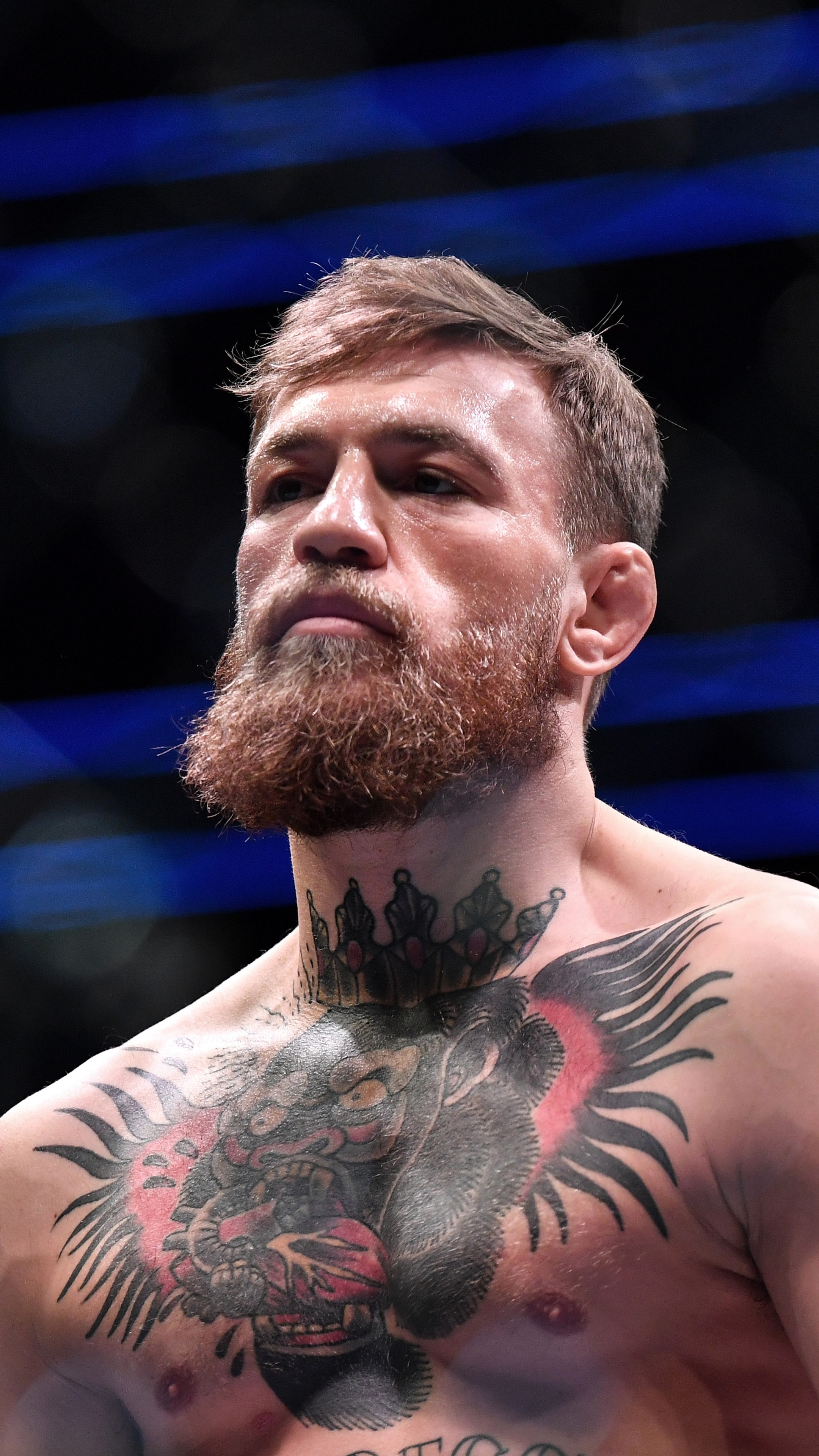 sports, male celebrities, ufc, boys