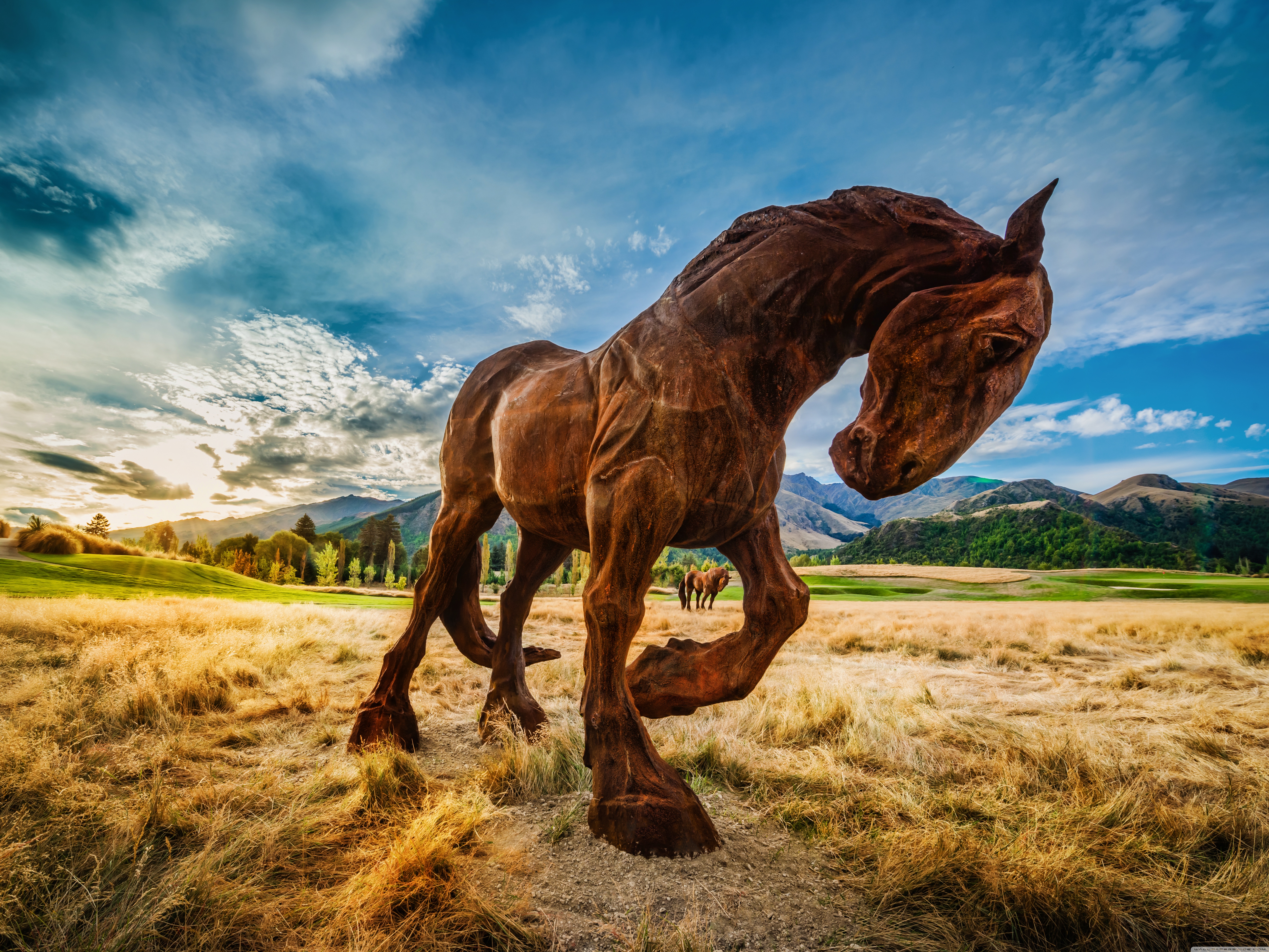 Wild Horse 4K HD Desktop Wallpaper