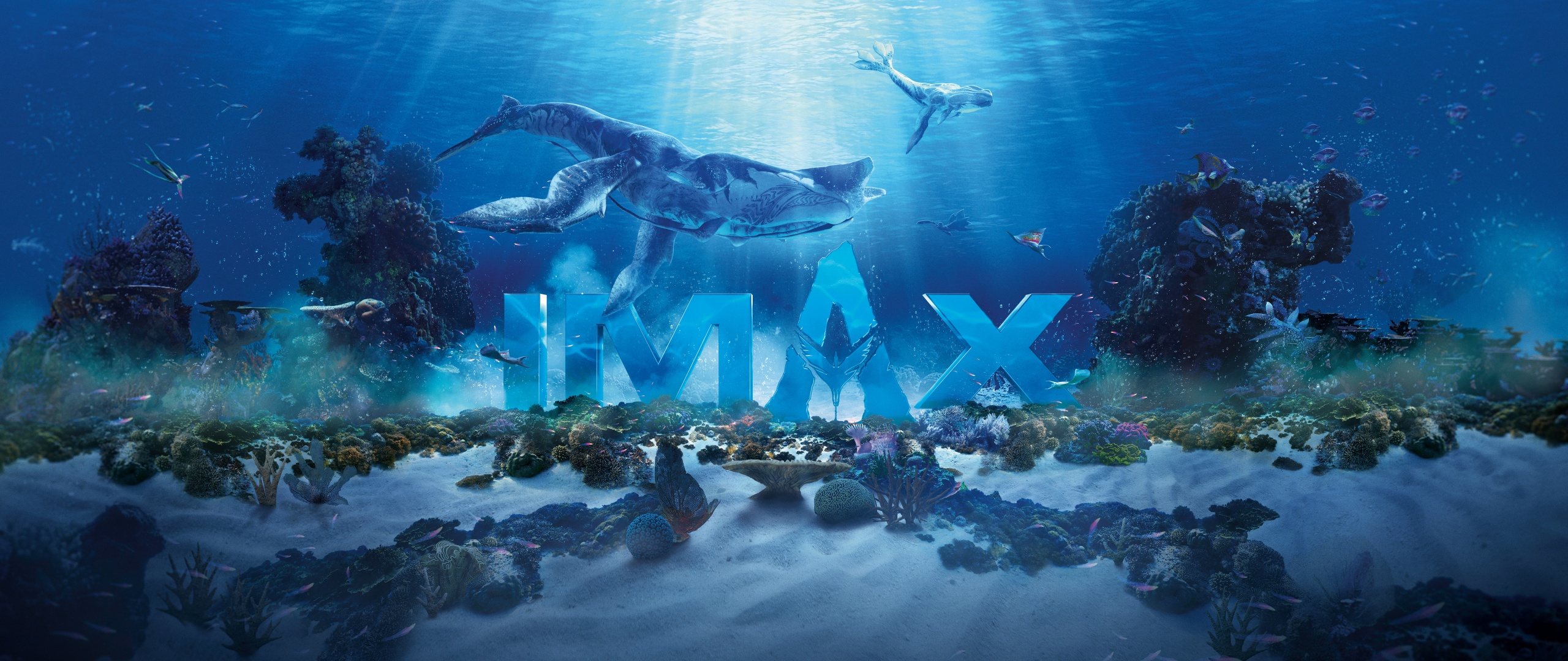 Avatar: The Way of Water Wallpaper 4K, IMAX poster, Underwater