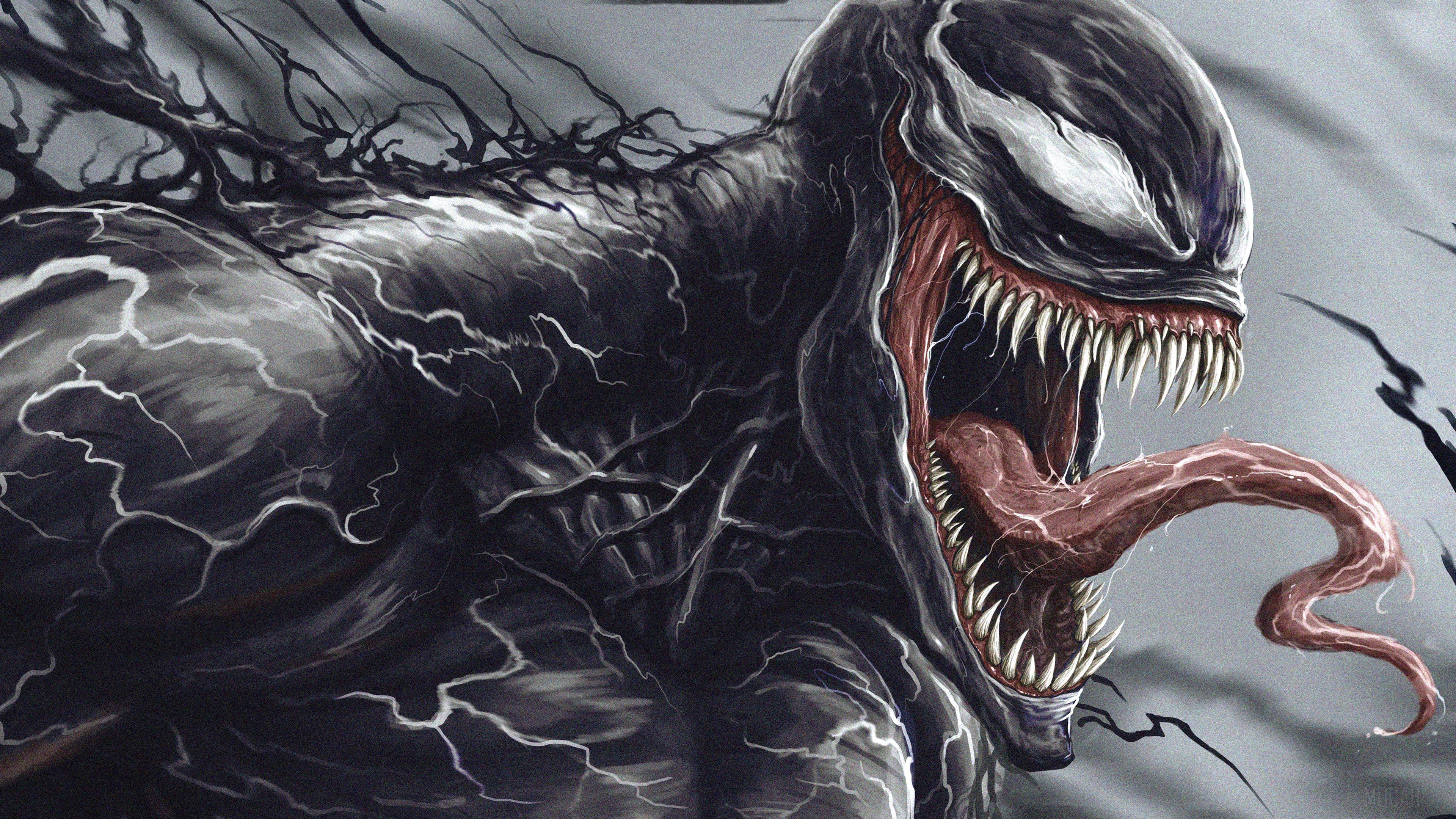 Venom Artwork New 4k