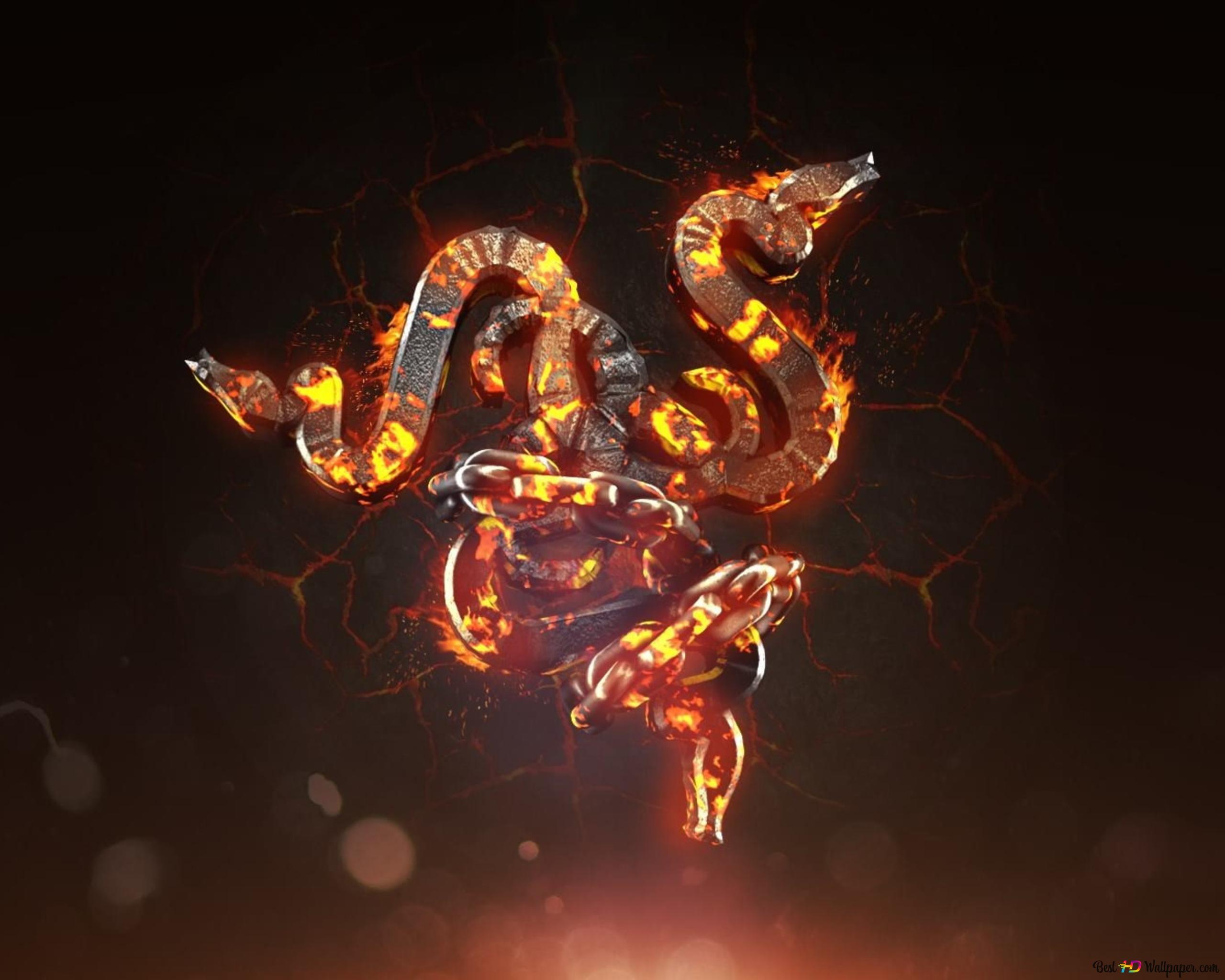 Razer brands night illuminated 4K