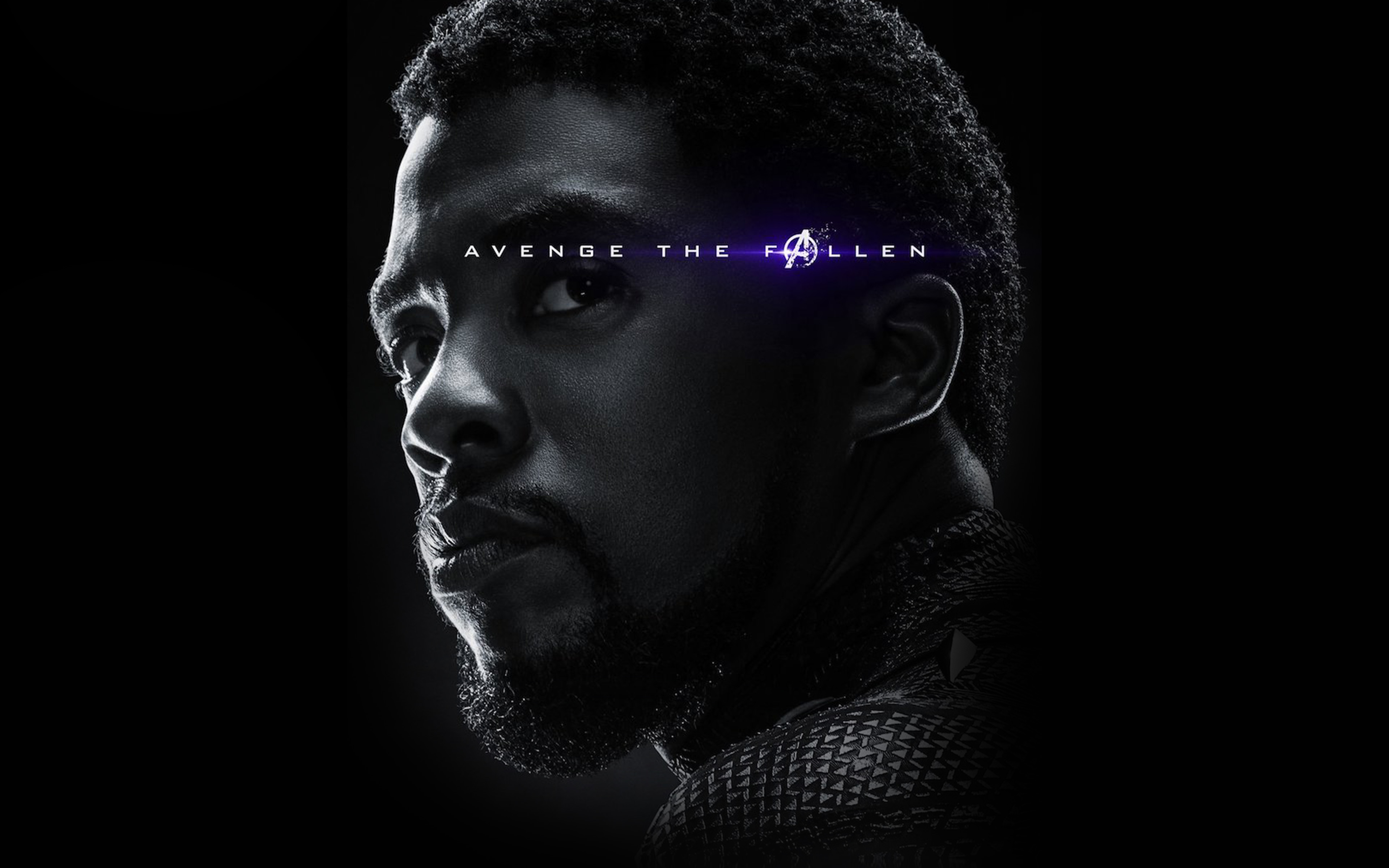 Avengers Poster Wakanda Hero