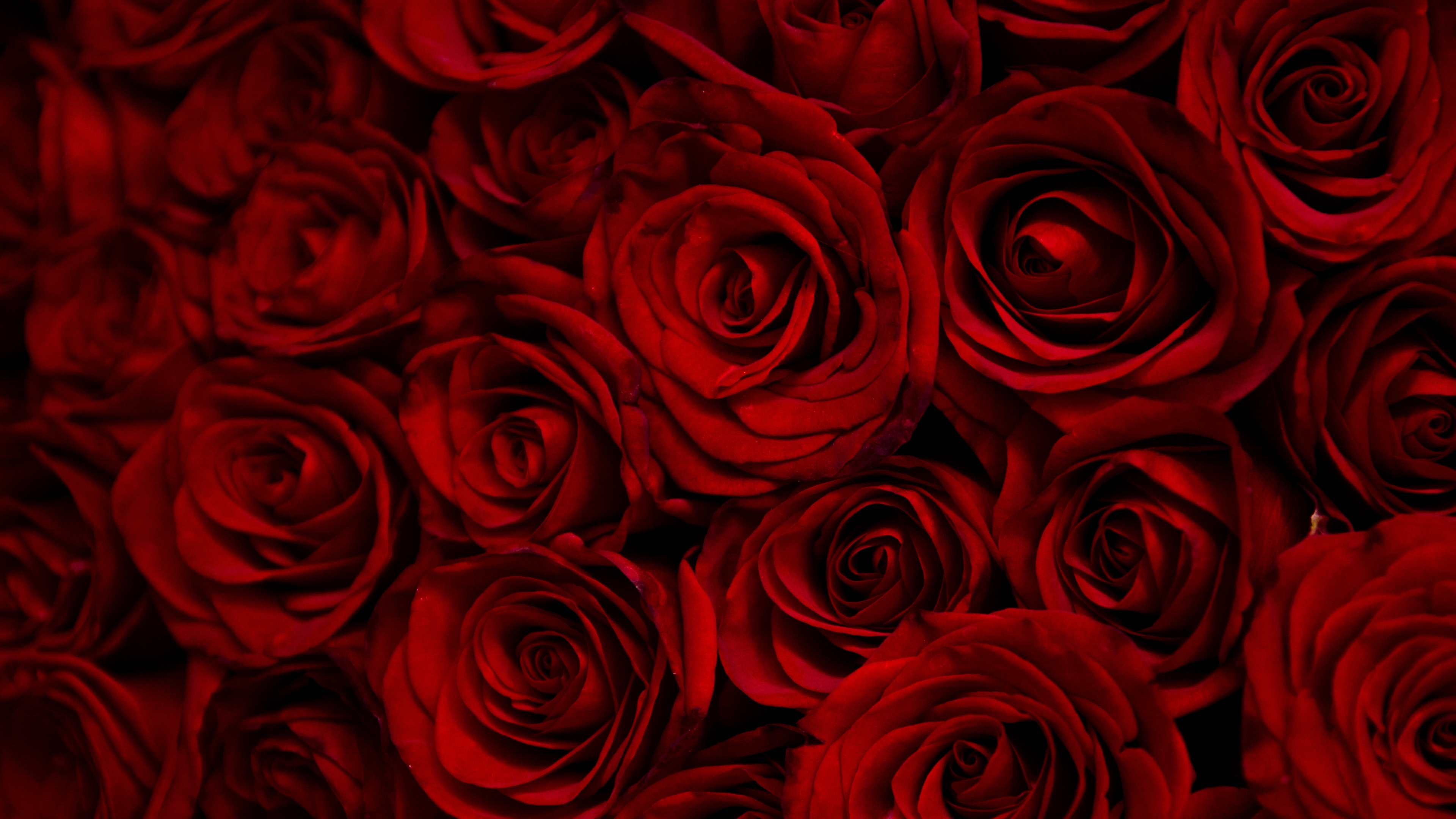 Download wallpaper 3840x2160 dark, red